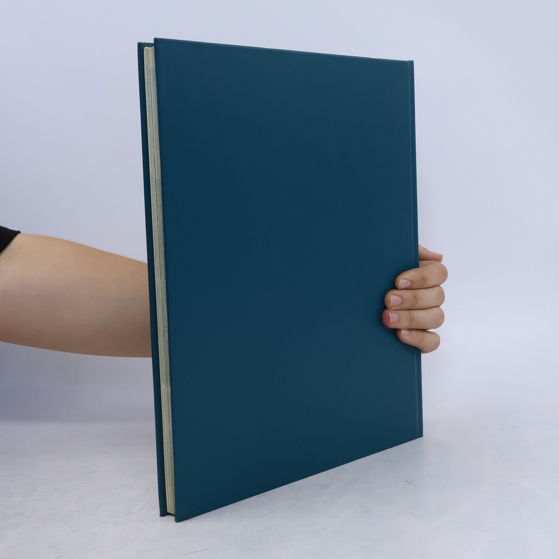 Various authors Die Hauptstädte Europas