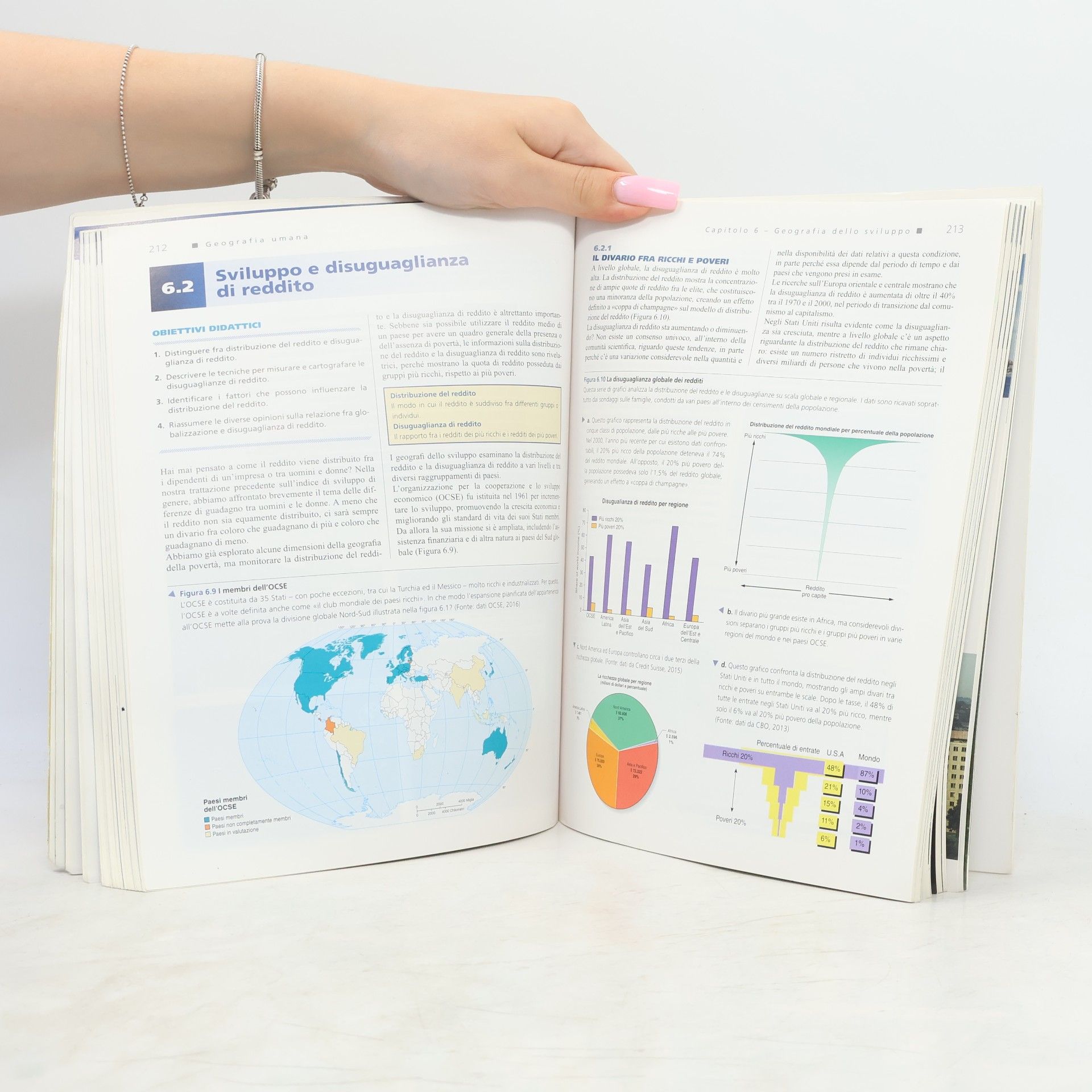 Alyson L. Greiner Geografia umana. Un approccio visuale - Terza edizione - a cura di Alberto Vanolo