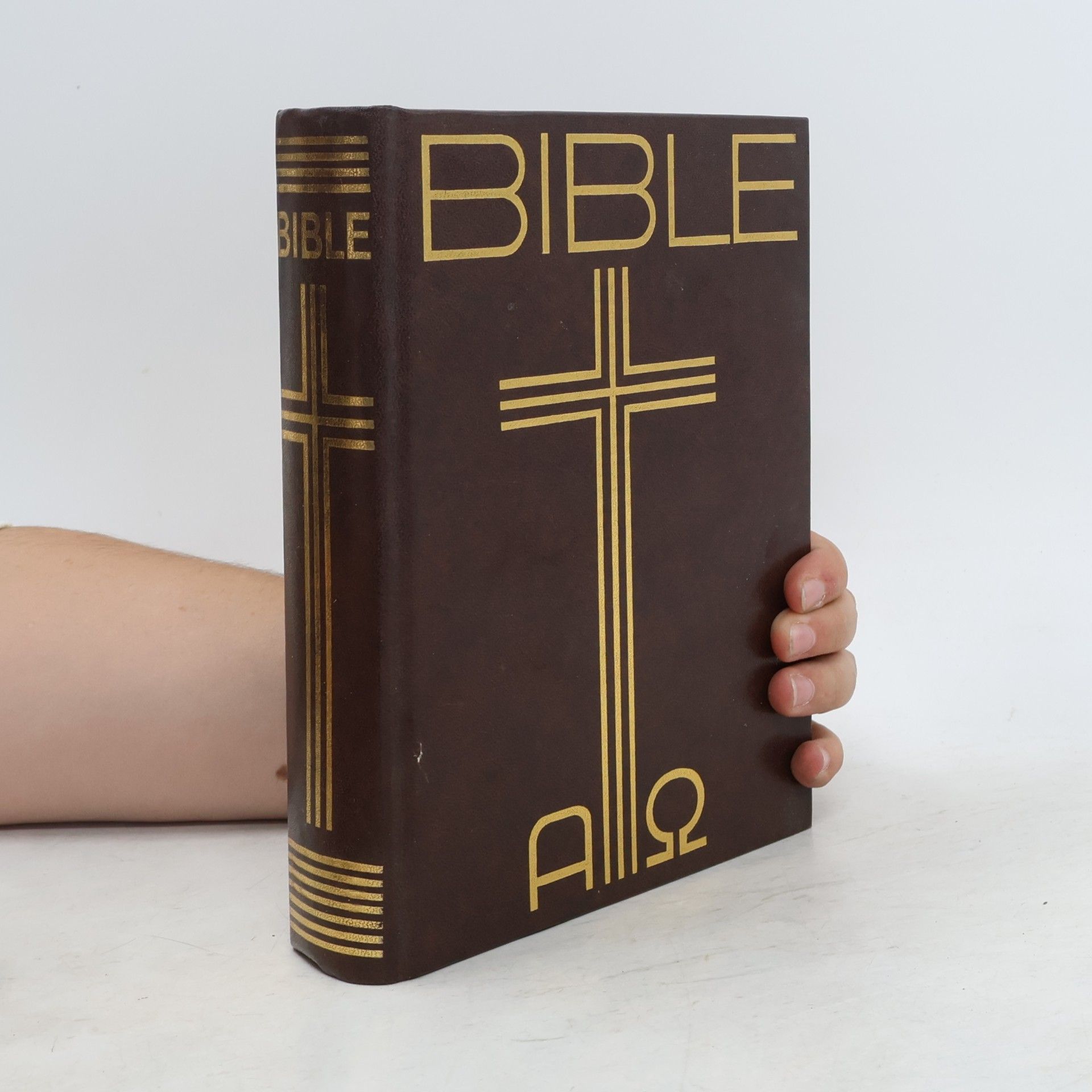 Kolektiv autorů Bible. Písmo svaté Starého a Nového Zákona. Ekumenický překlad