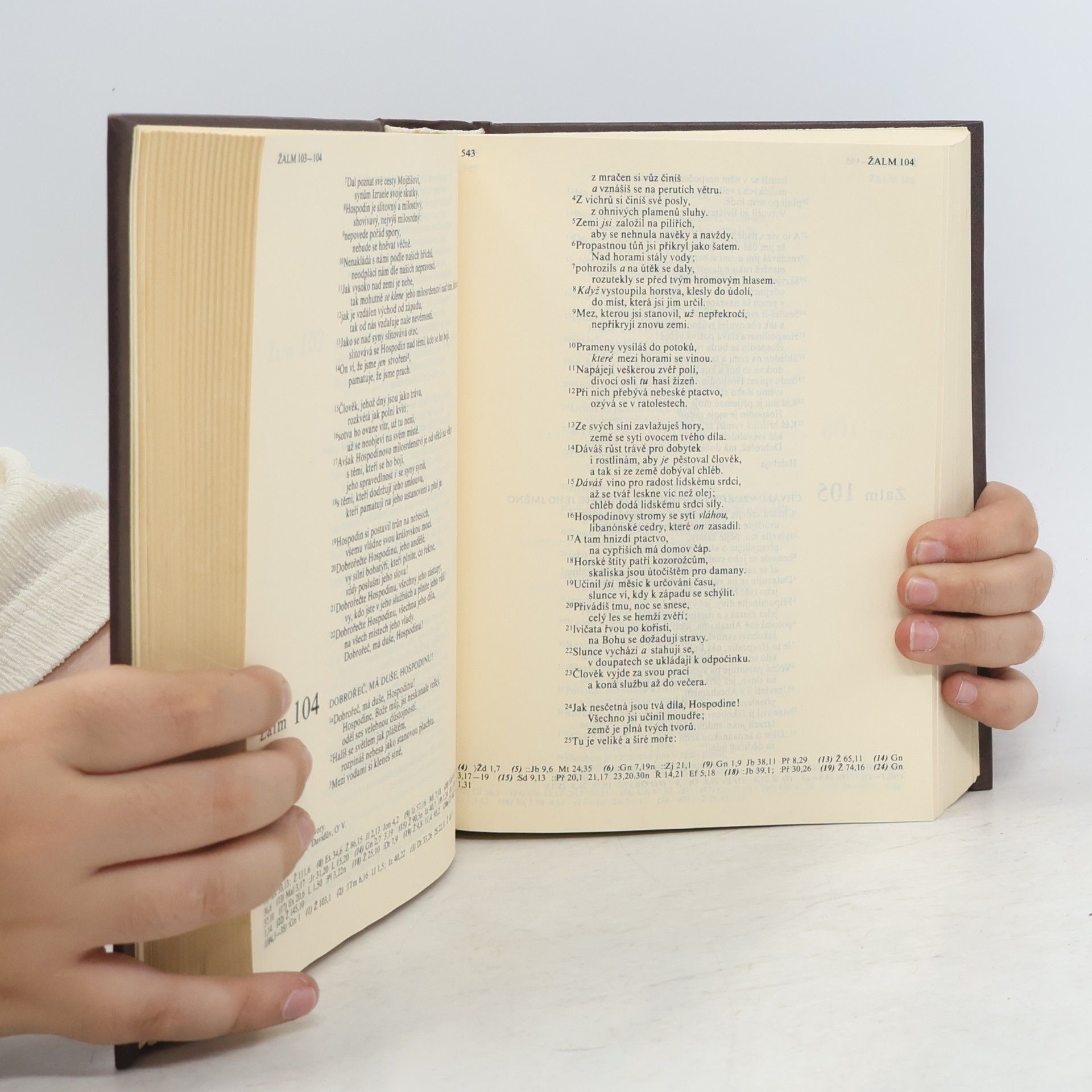 Autorenkollektiv Bible. Písmo svaté Starého a Nového Zákona. Ekumenický překlad