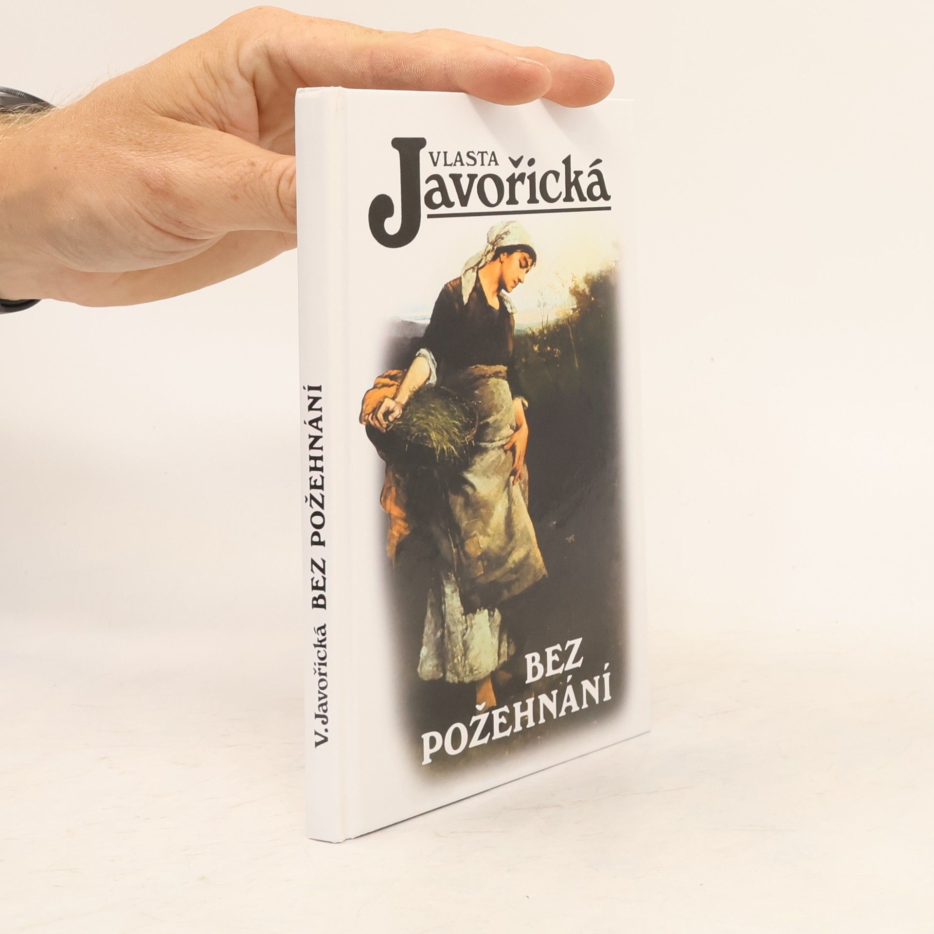 Bez požehnání : povídky