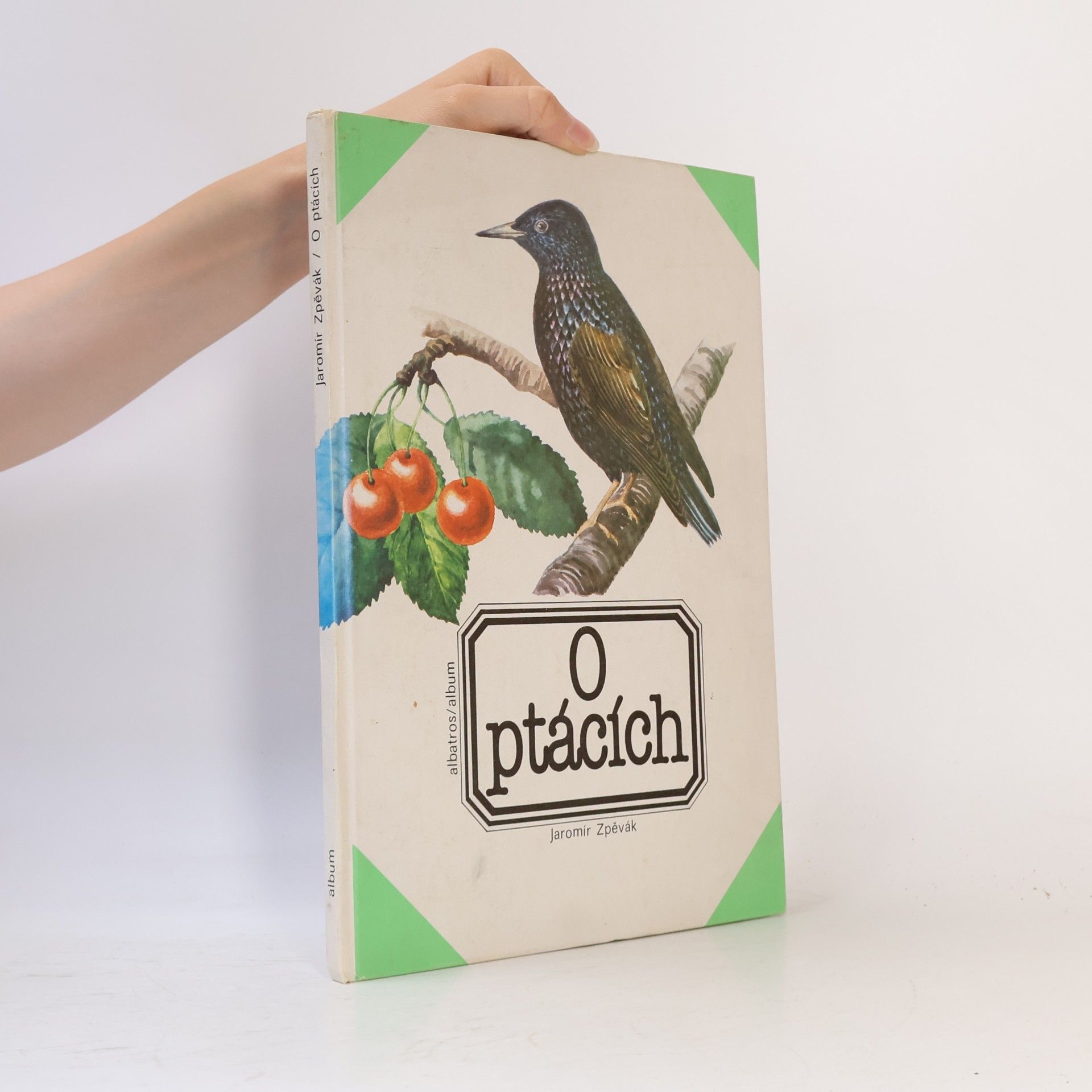 O ptácích