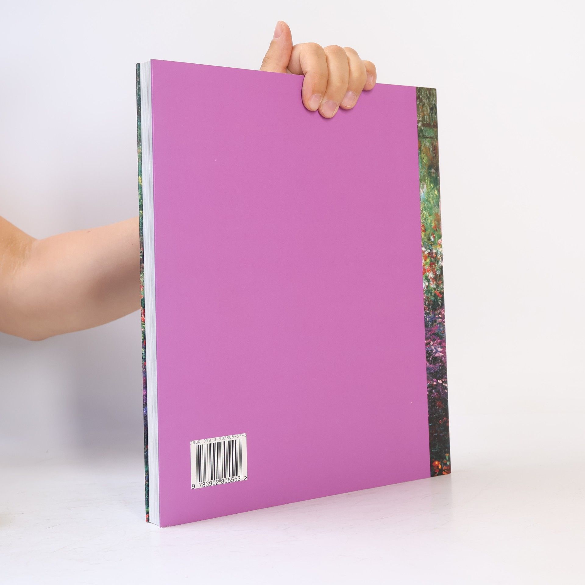 Collectif d'auteurs Im Lichte Monets
