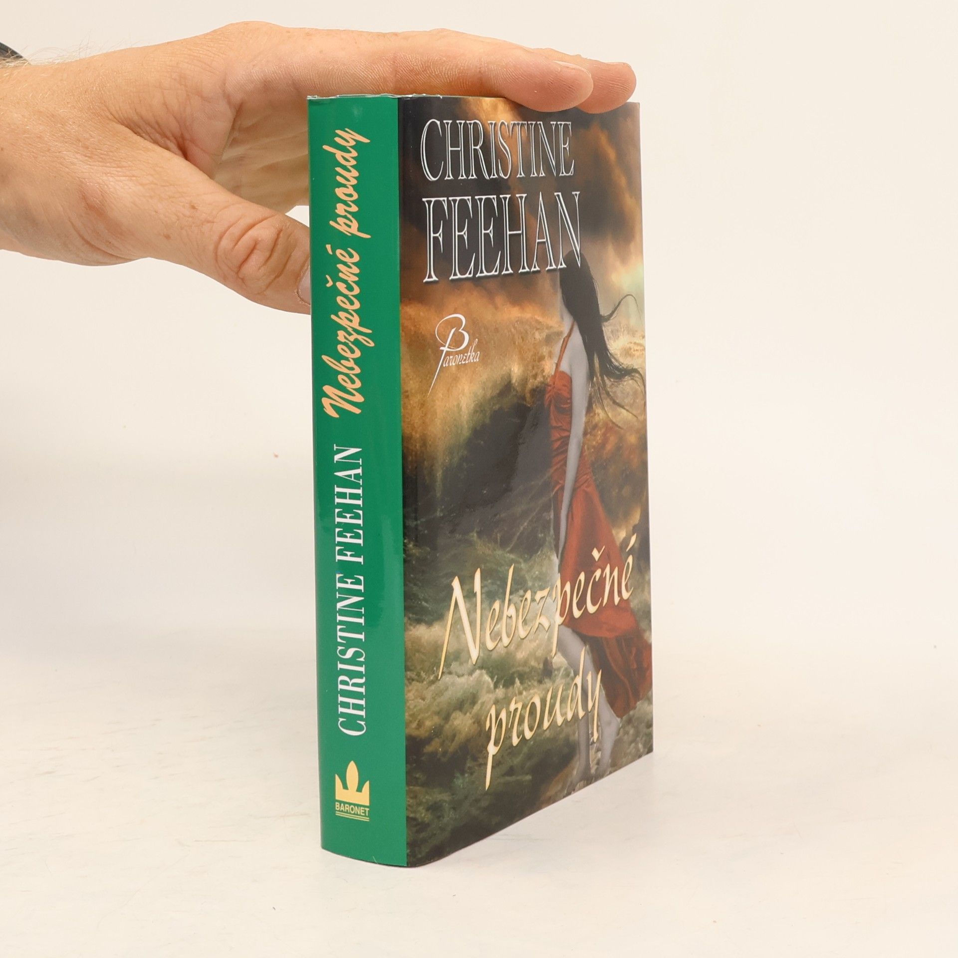 Christine Feehan Nebezpečné proudy