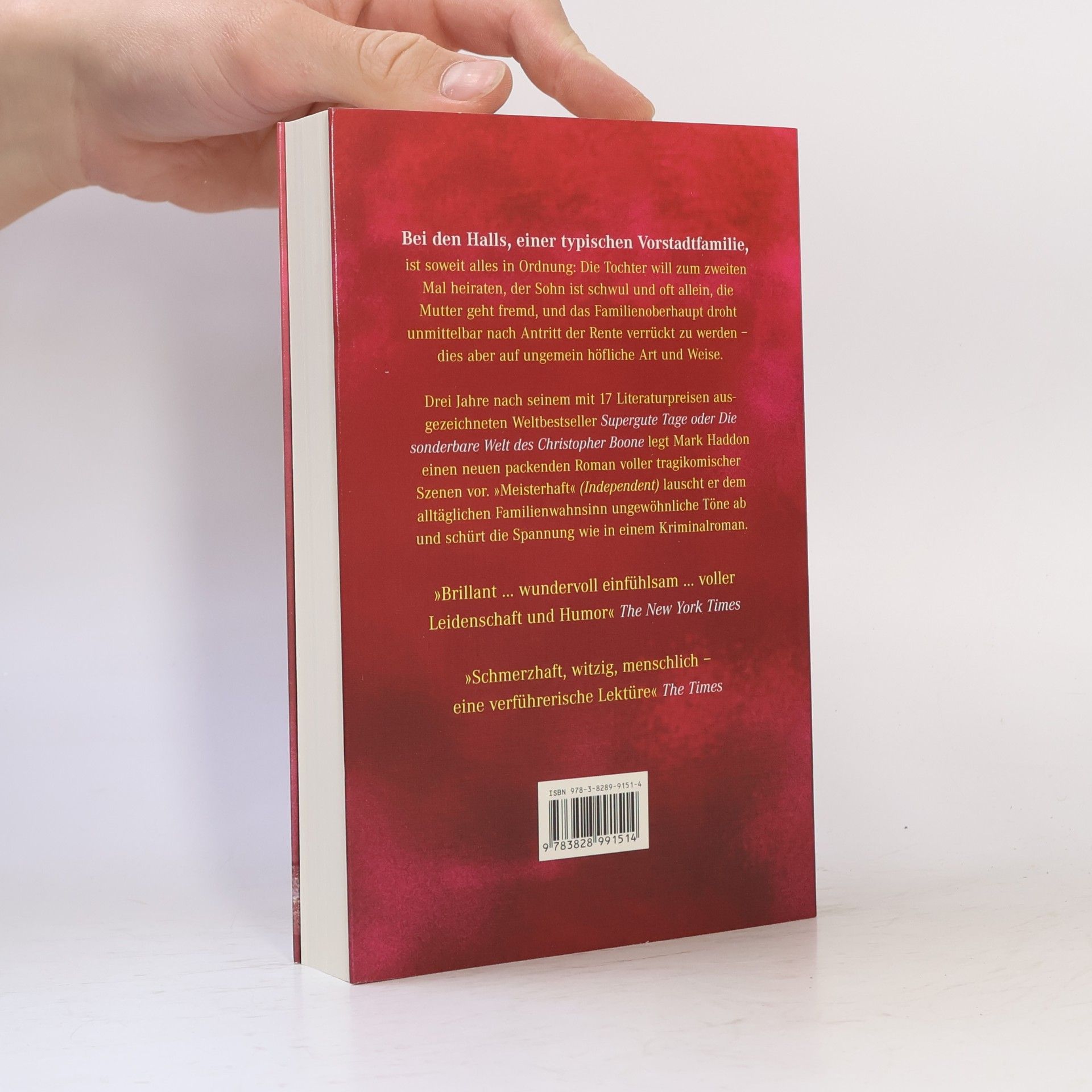 Mark Haddon Der wunde Punkt