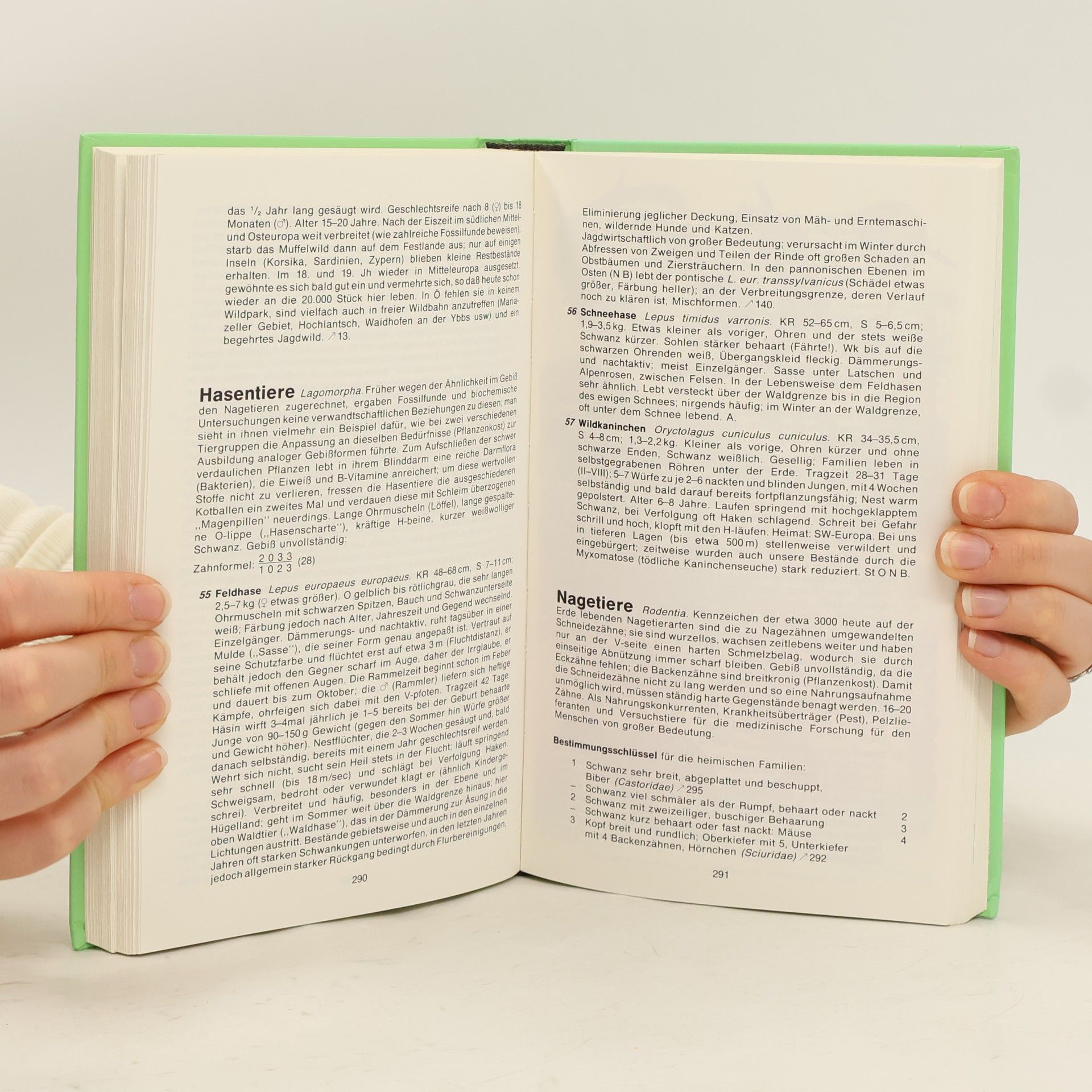 Autores varios Donauland. Naturführer Österreich