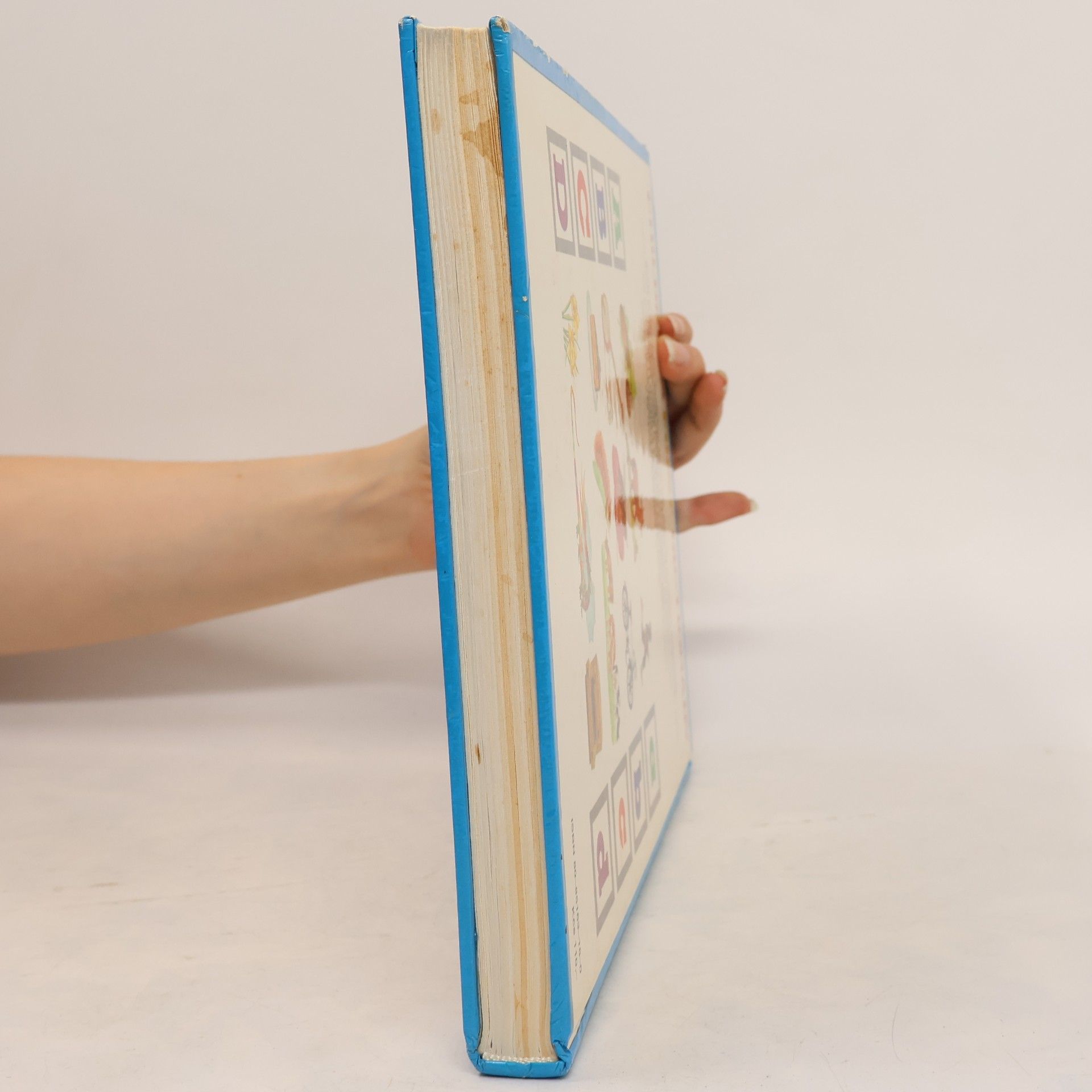 Kolektiv autorů Children's First Dictionary. Môj prvý anglický slovník