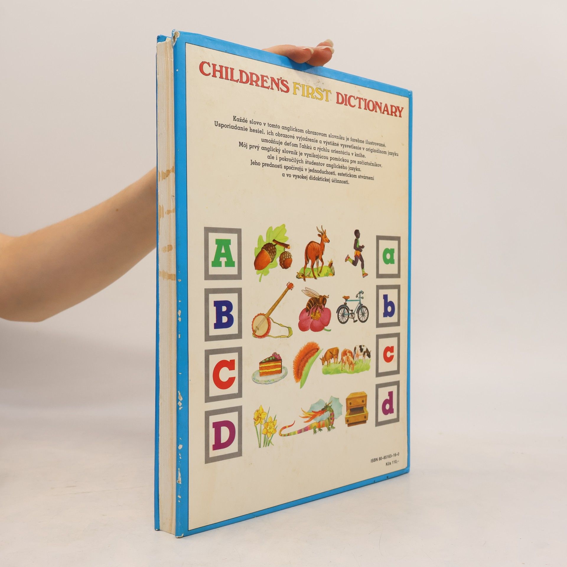 Kolektiv autorů Children's First Dictionary. Môj prvý anglický slovník