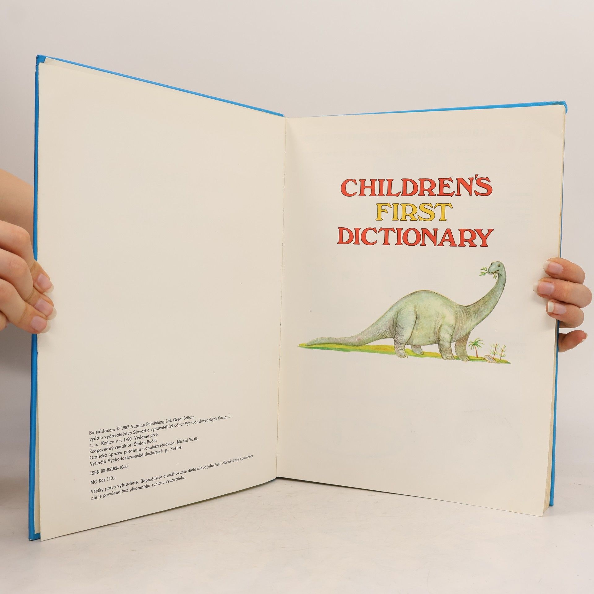 Kolektiv autorů Children's First Dictionary. Môj prvý anglický slovník