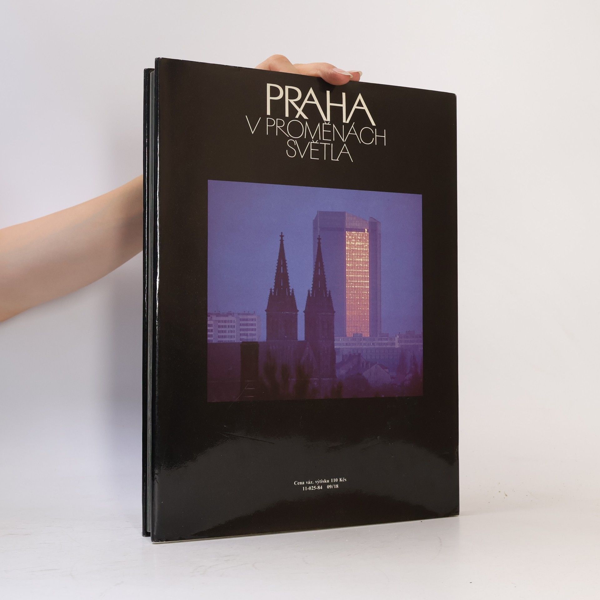 Josef Brukner Praha v proměnách světla