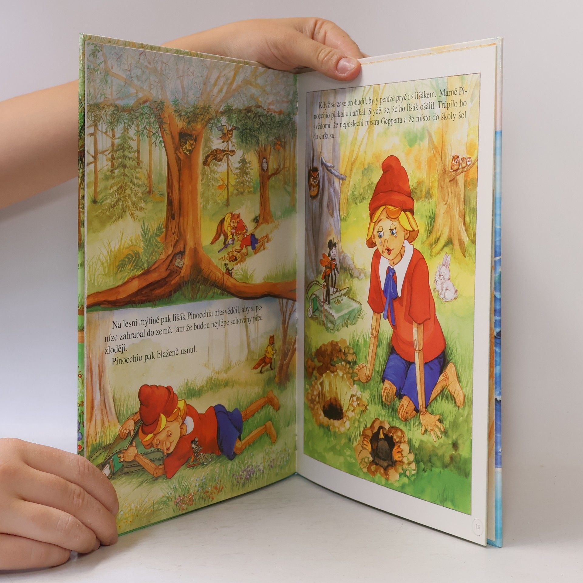 Collectif d'auteurs Pinocchio
