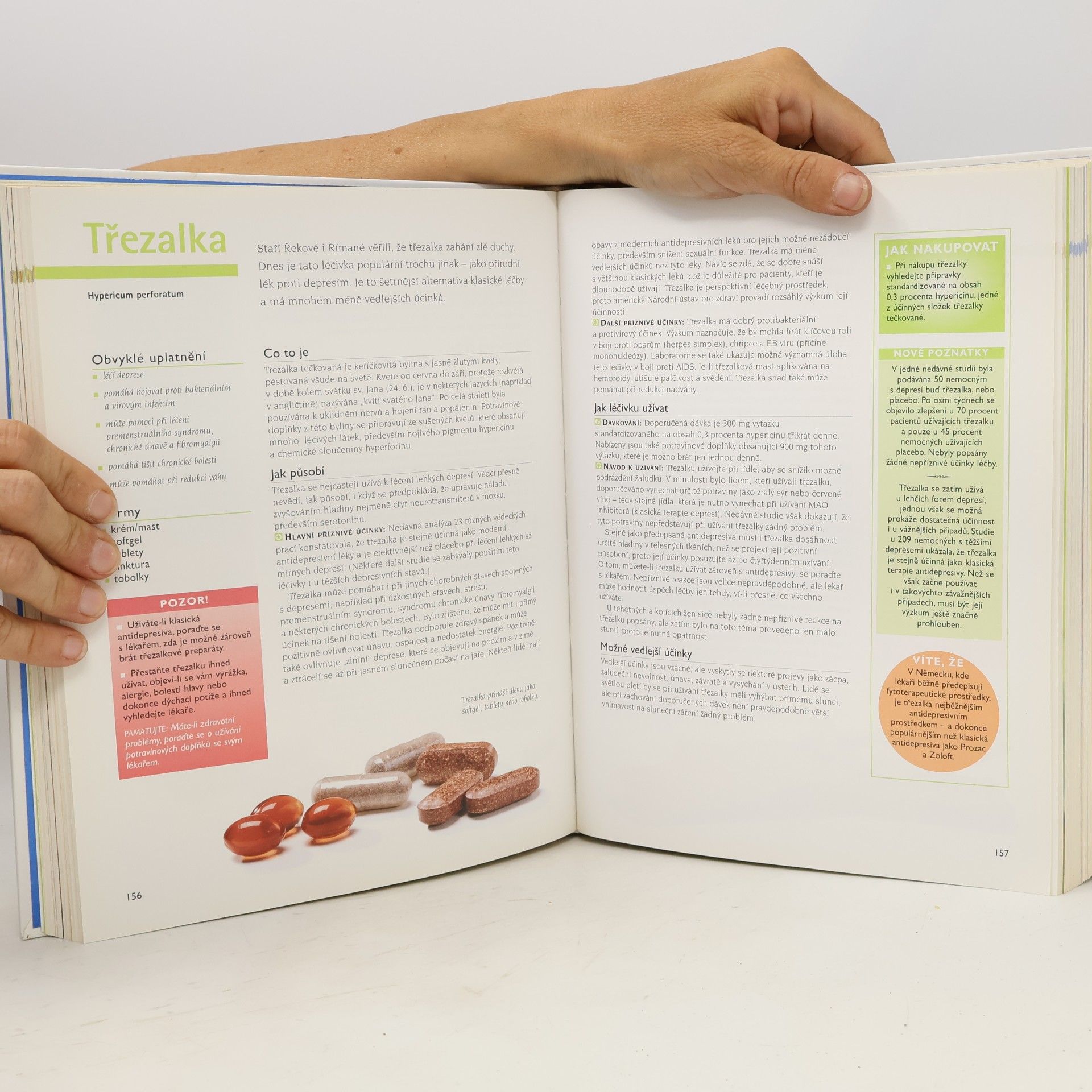Autorenkollektiv Léčivá moc vitaminů, bylin a minerálních látek