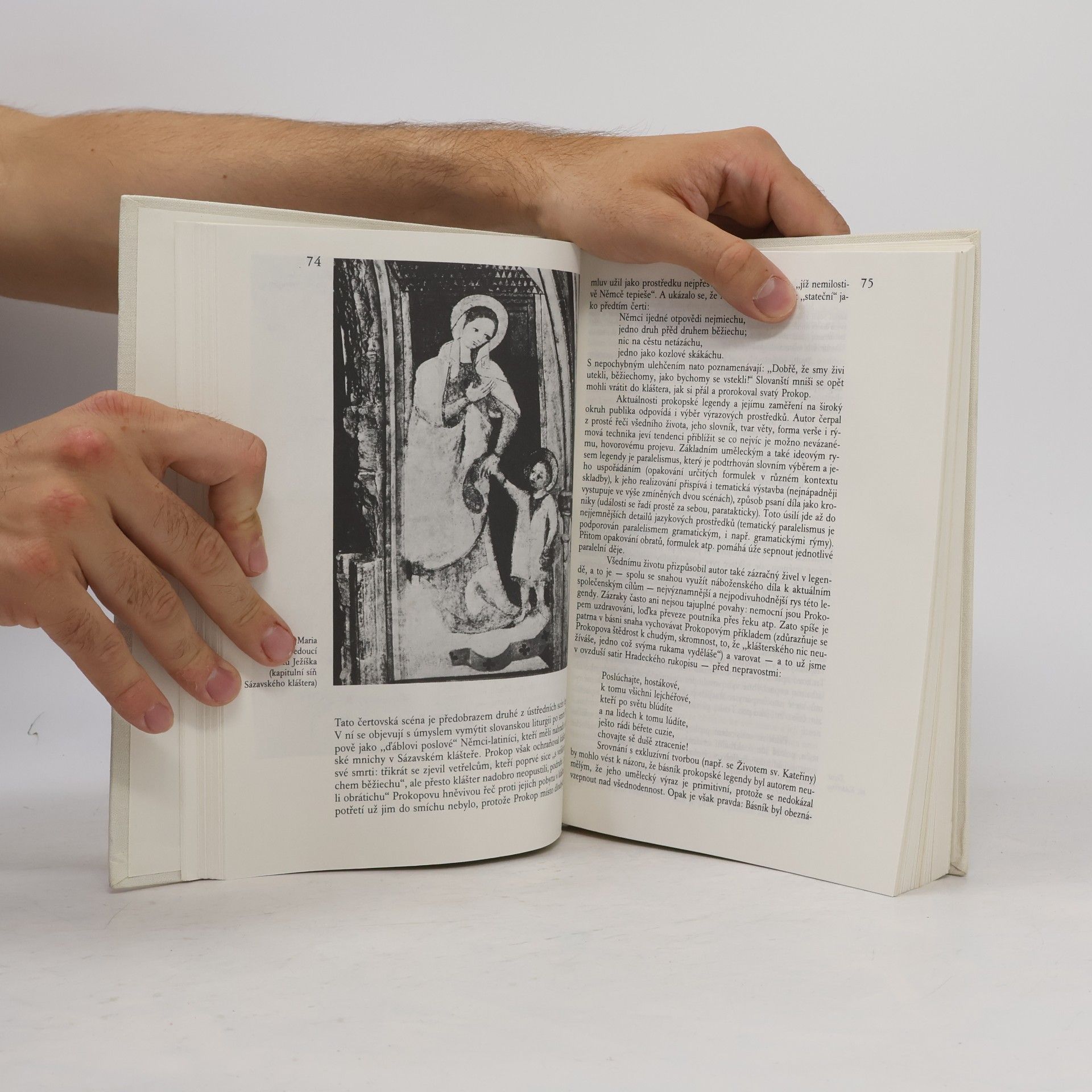 Zdeňka Tichá Cesta starší české literatury