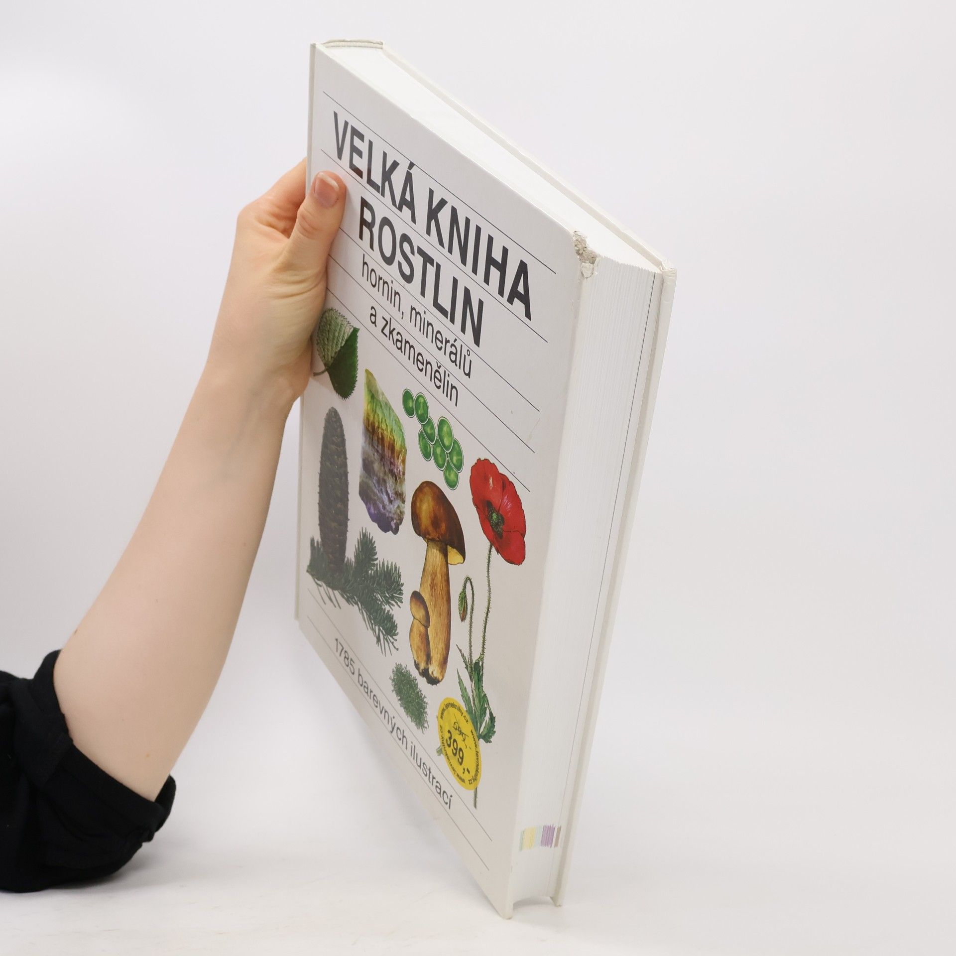Jindřich Krejča Velká kniha rostlin : hornin, minerálů a zkamenělin