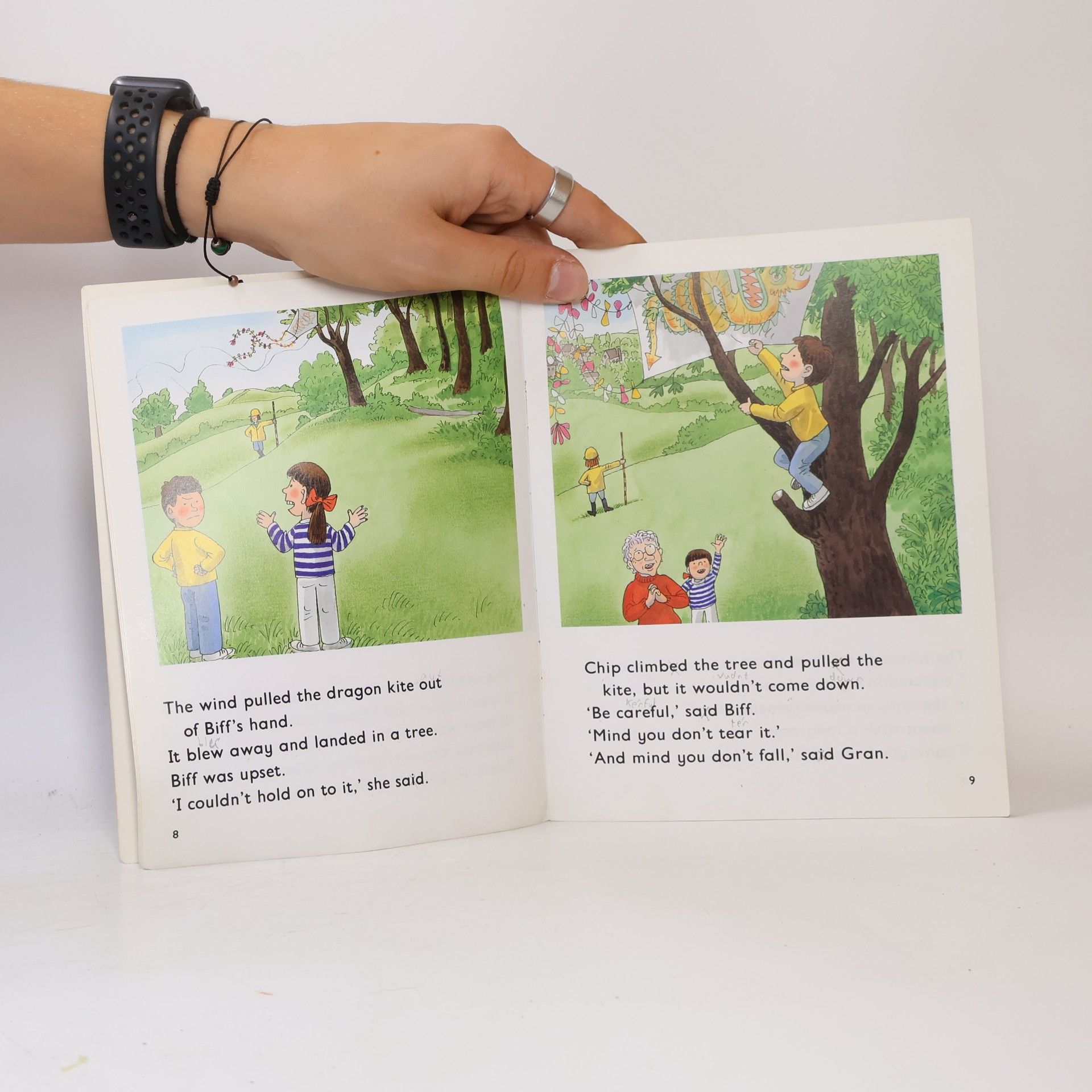 Roderick Hunt Oxford Reading Tree: More Owls: The Motorway