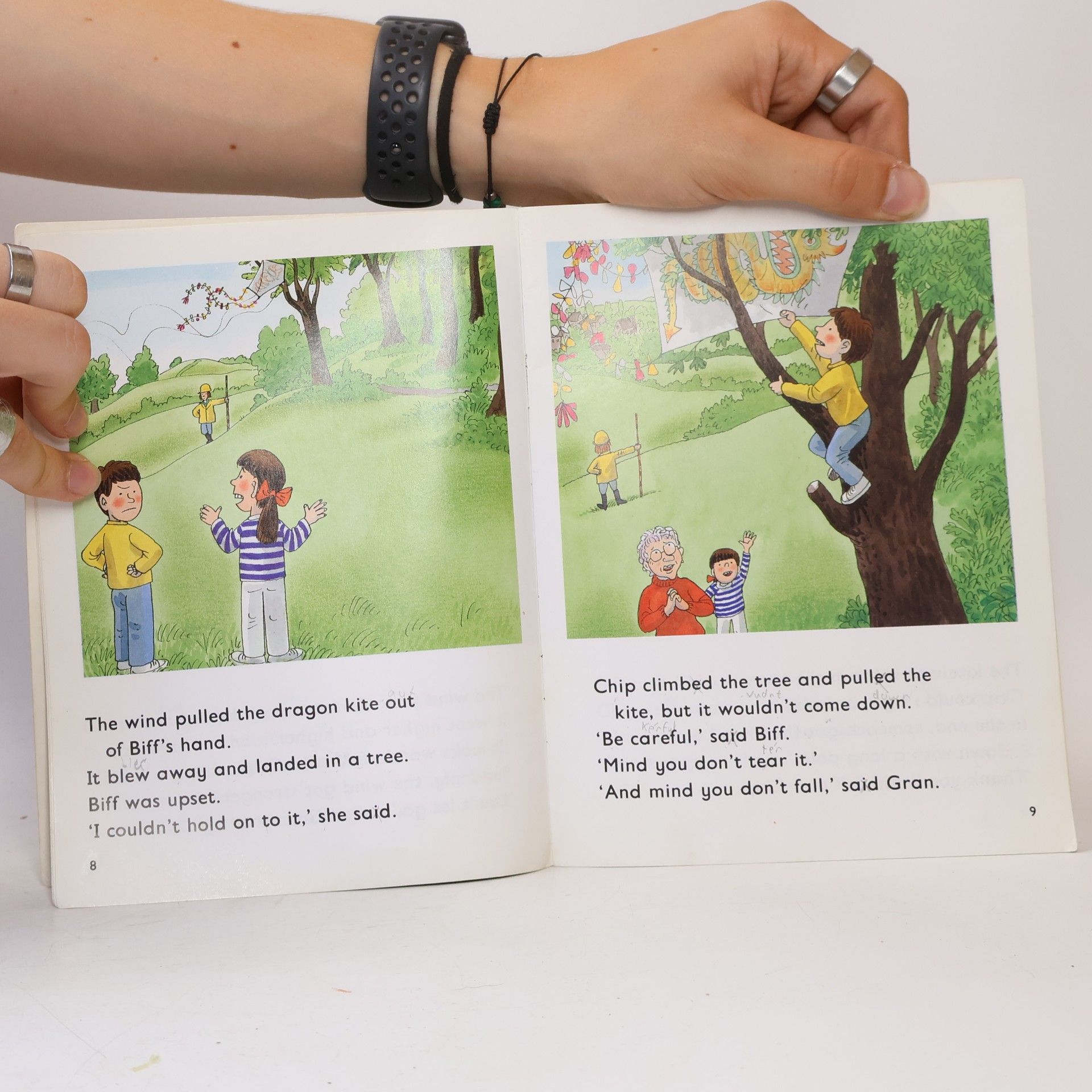 Roderick Hunt Oxford Reading Tree: More Owls: The Motorway