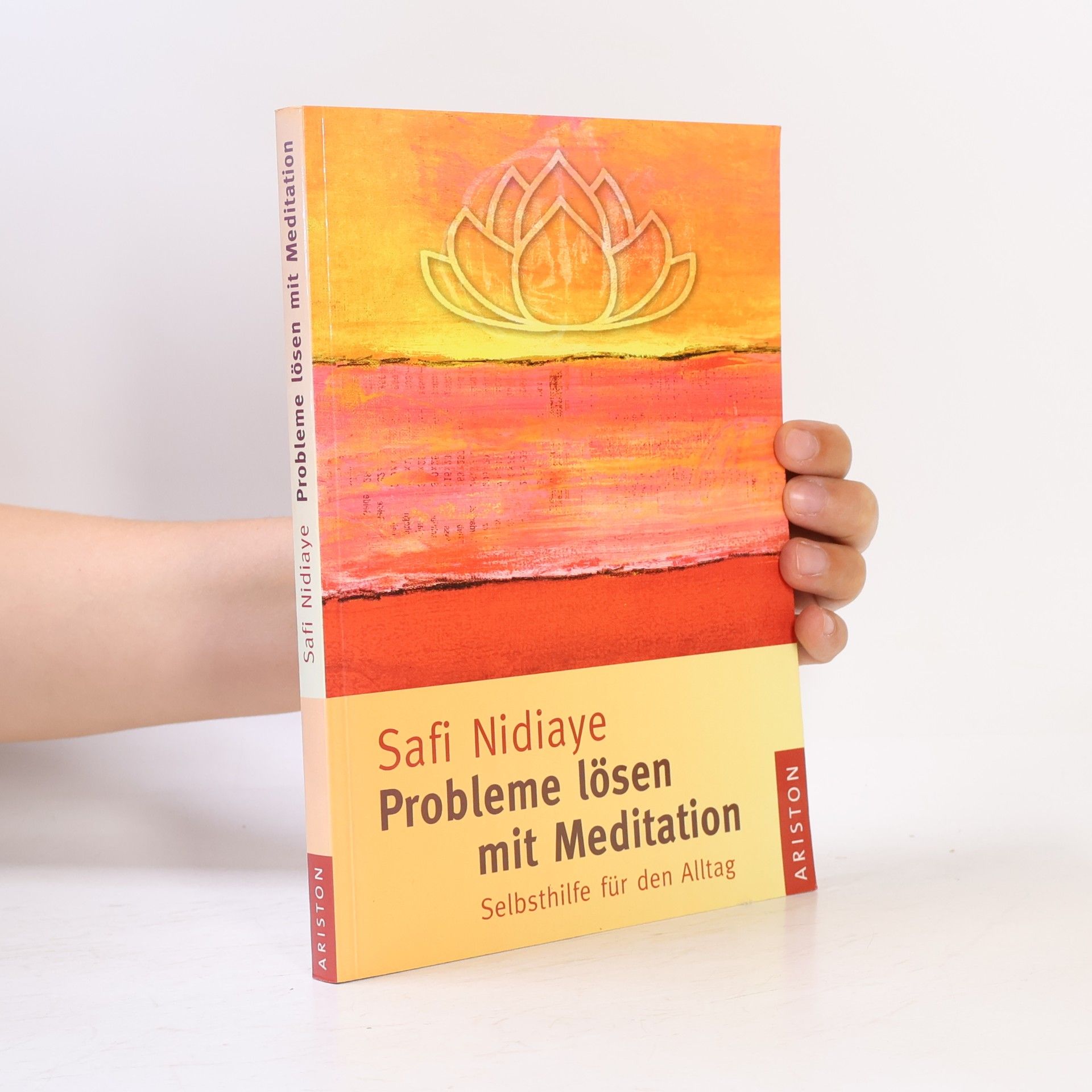 Safi Nidiaye Probleme lösen mit Meditation