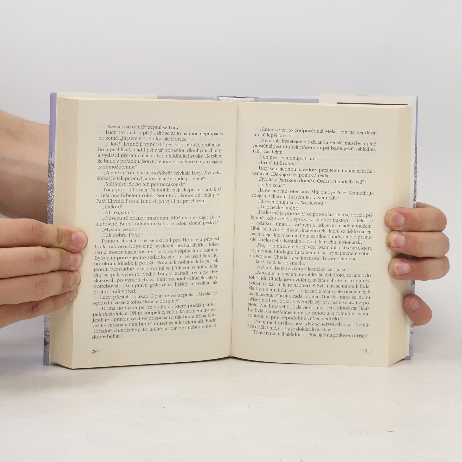 Rosamunde Pilcher Zimní slunovrat