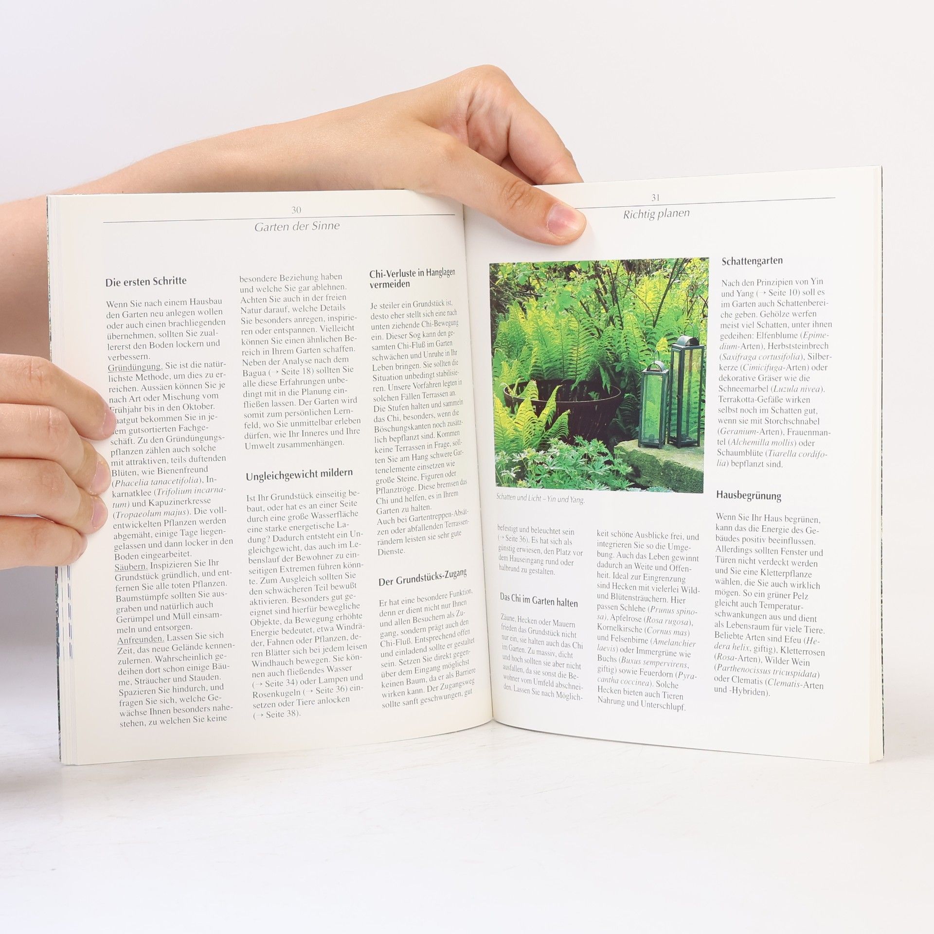 Günther Sator Feng Shui für jeden Garten