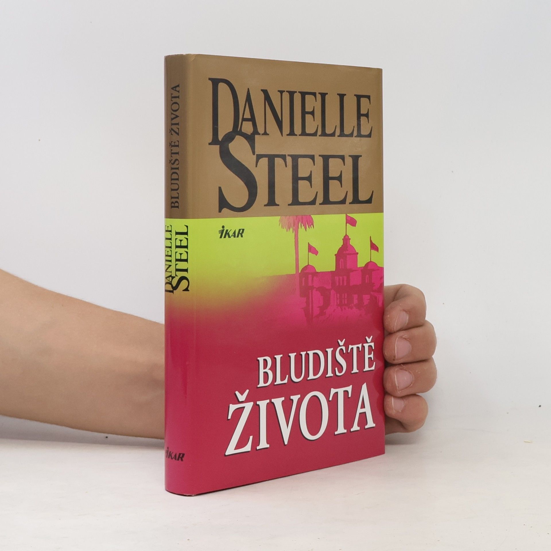 Danielle Steel Bludiště života