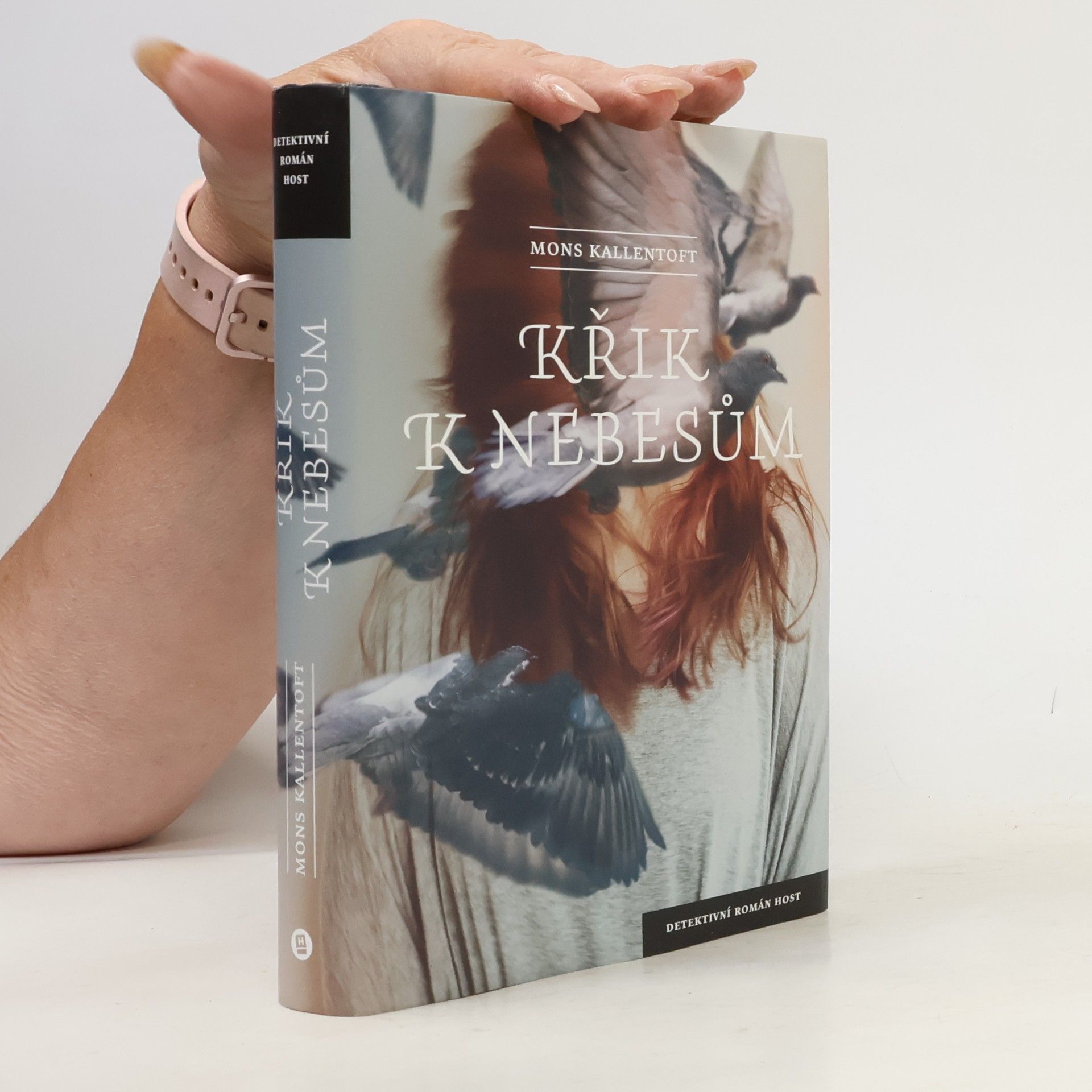 Mons Kallentoft Křik k nebesům