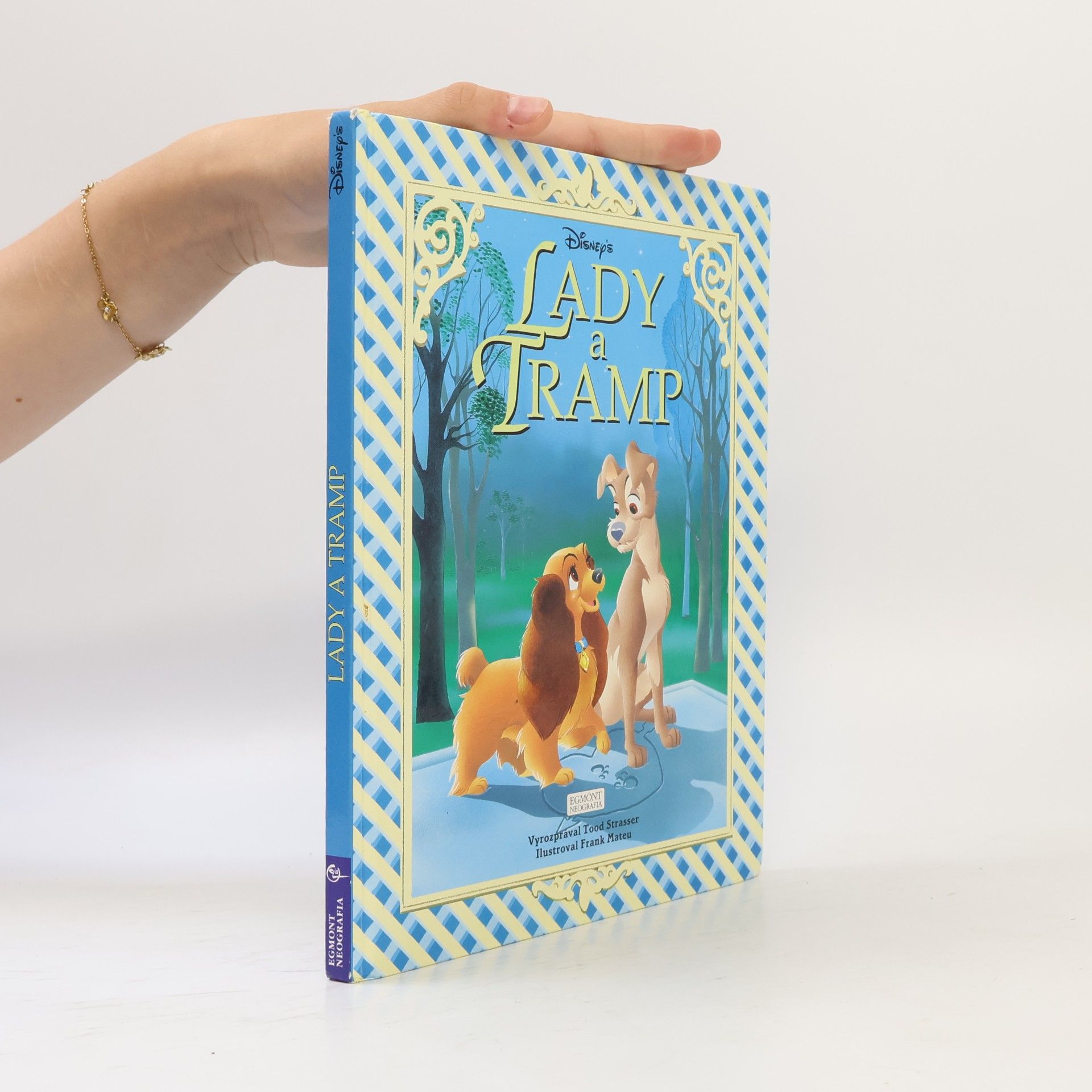 Walt Disney Lady a Tramp