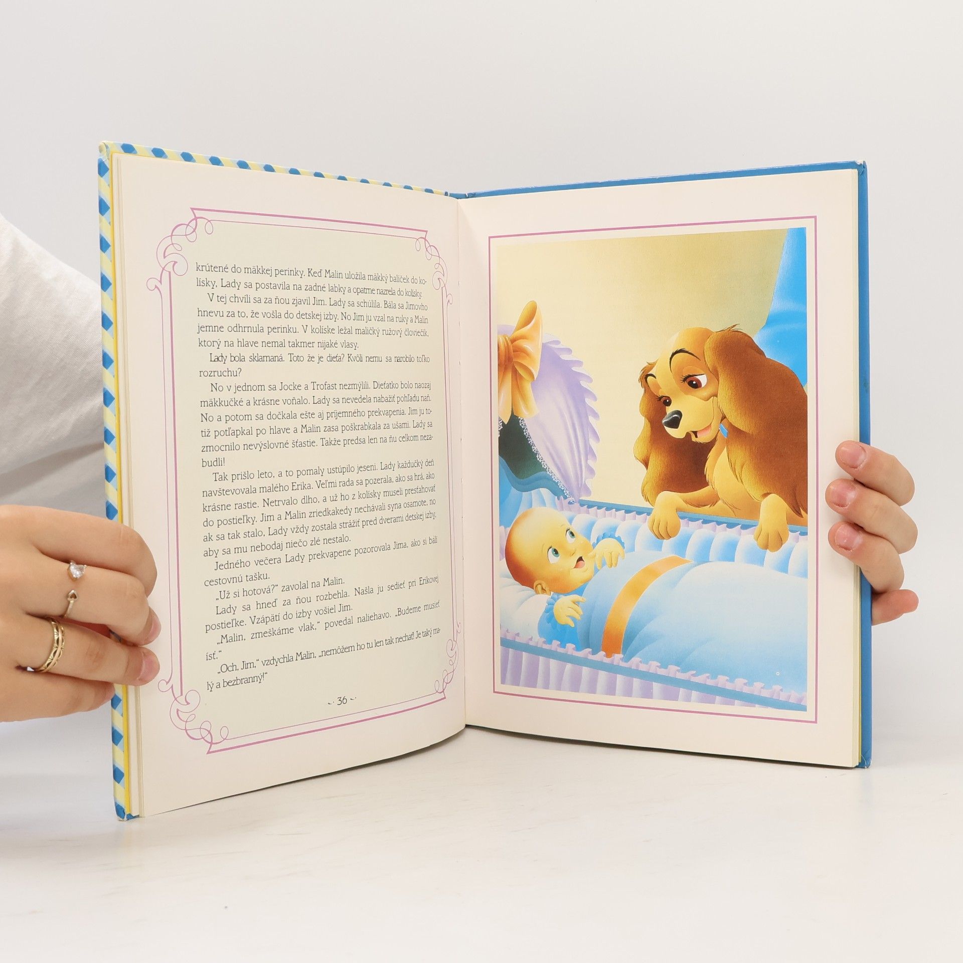 Walt Disney Lady a Tramp