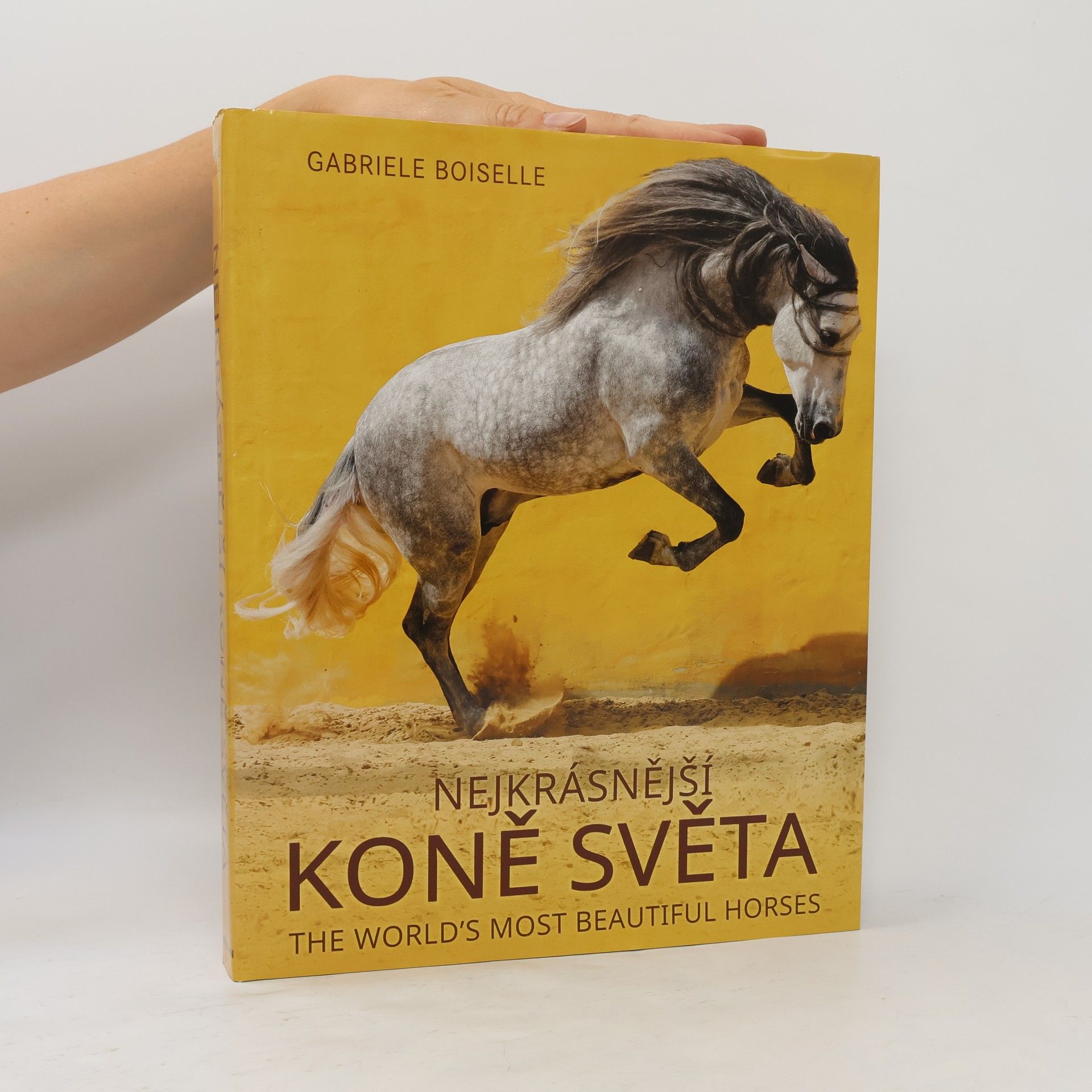 Gabrielle Boiselle Nejkrásnější koně světa