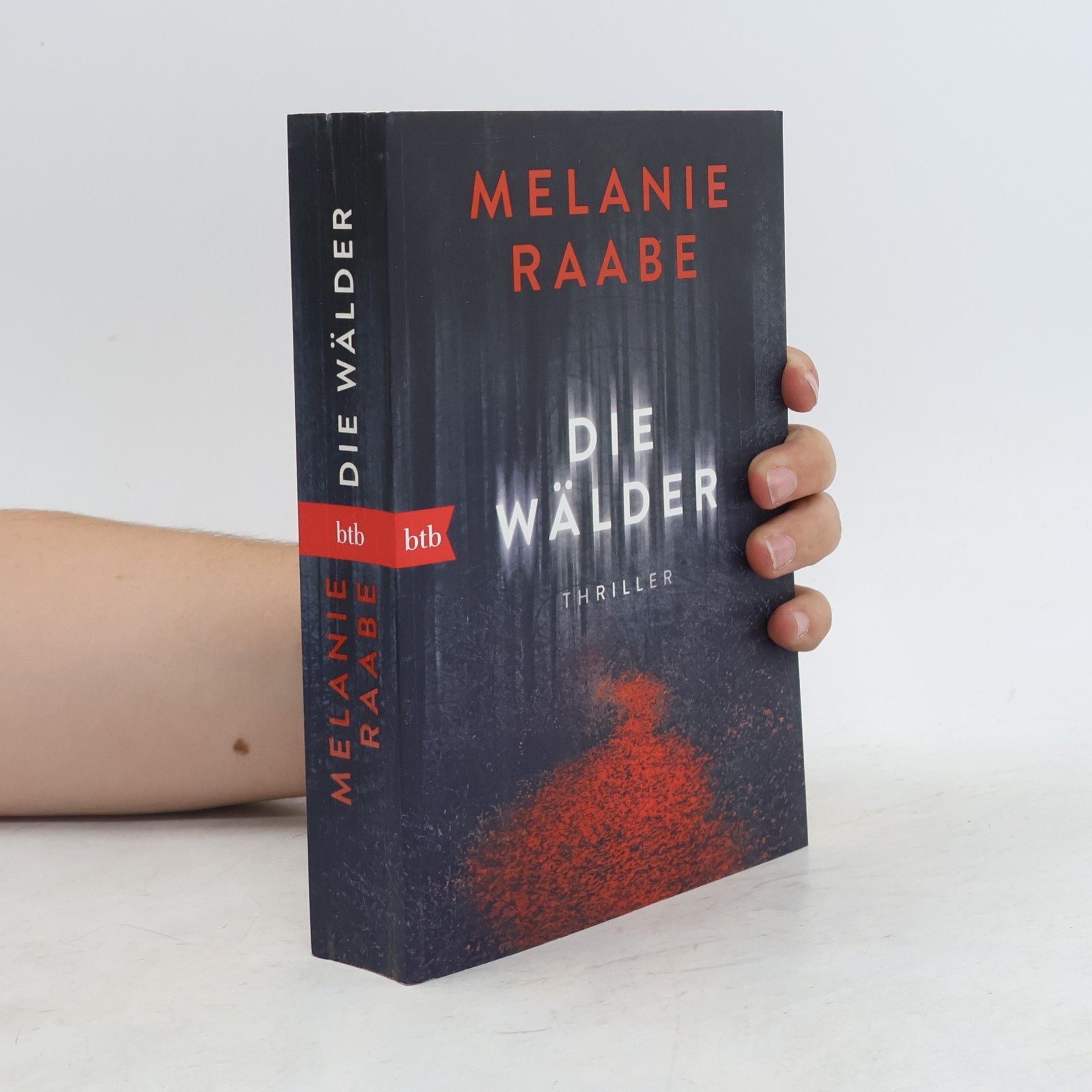 Melanie Raabe Die Wälder