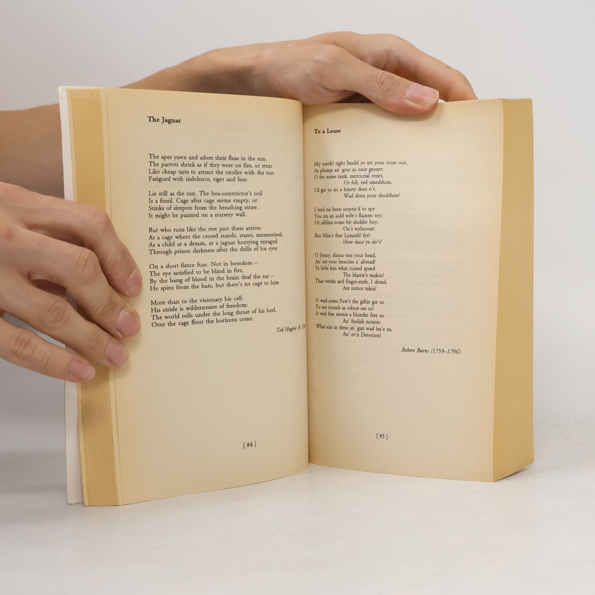 Christopher Hurford The Anthalogy of Popular Verse