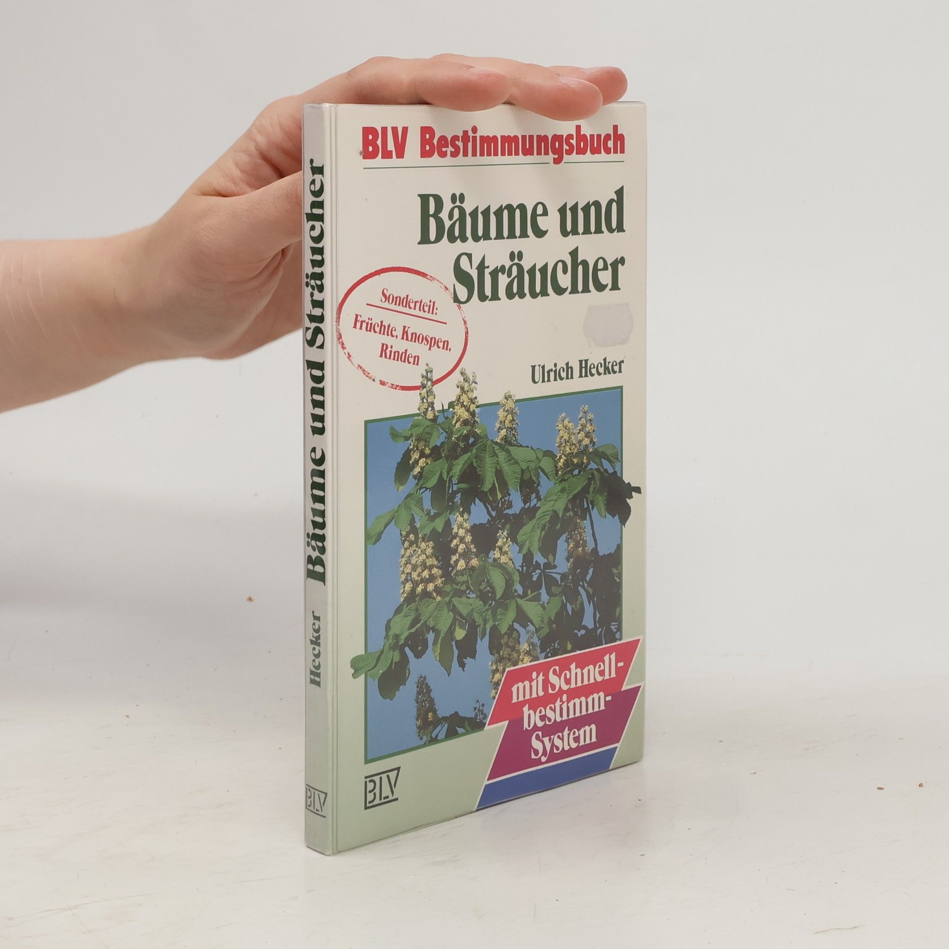 Hans-Ulrich Hecker Bäume und Sträucher
