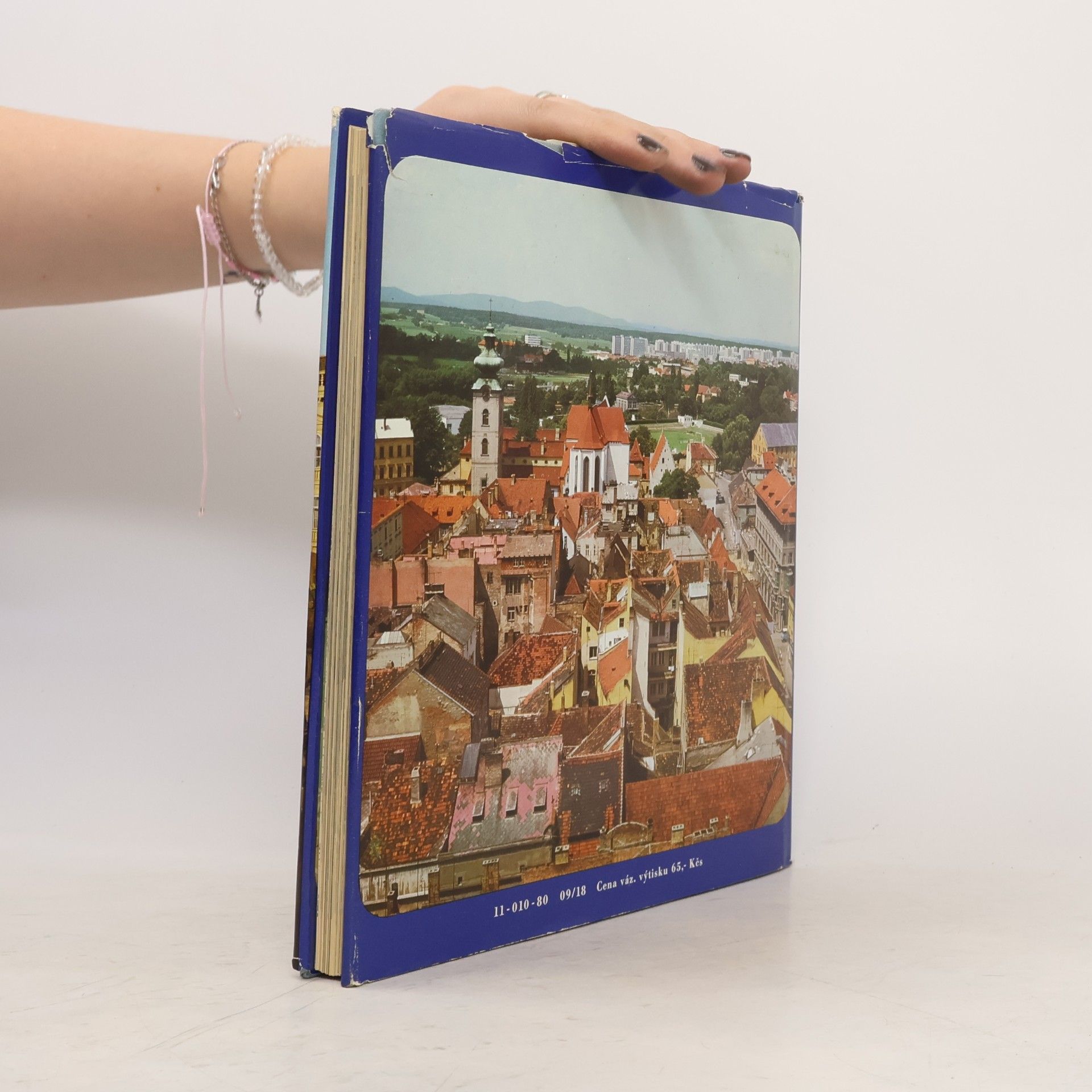 Autores varios České Budějovice