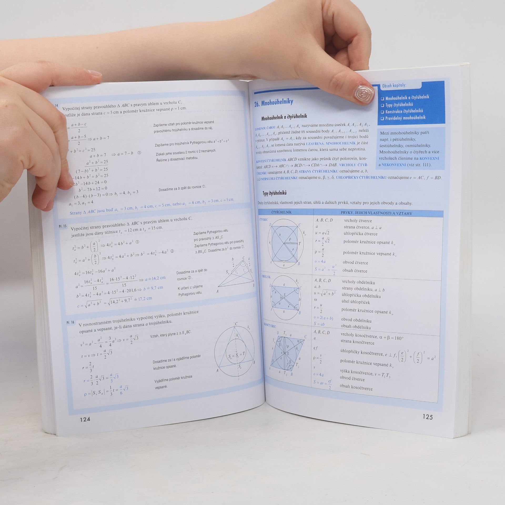 Pavel Čermák Odmaturuj! z matematiky 1