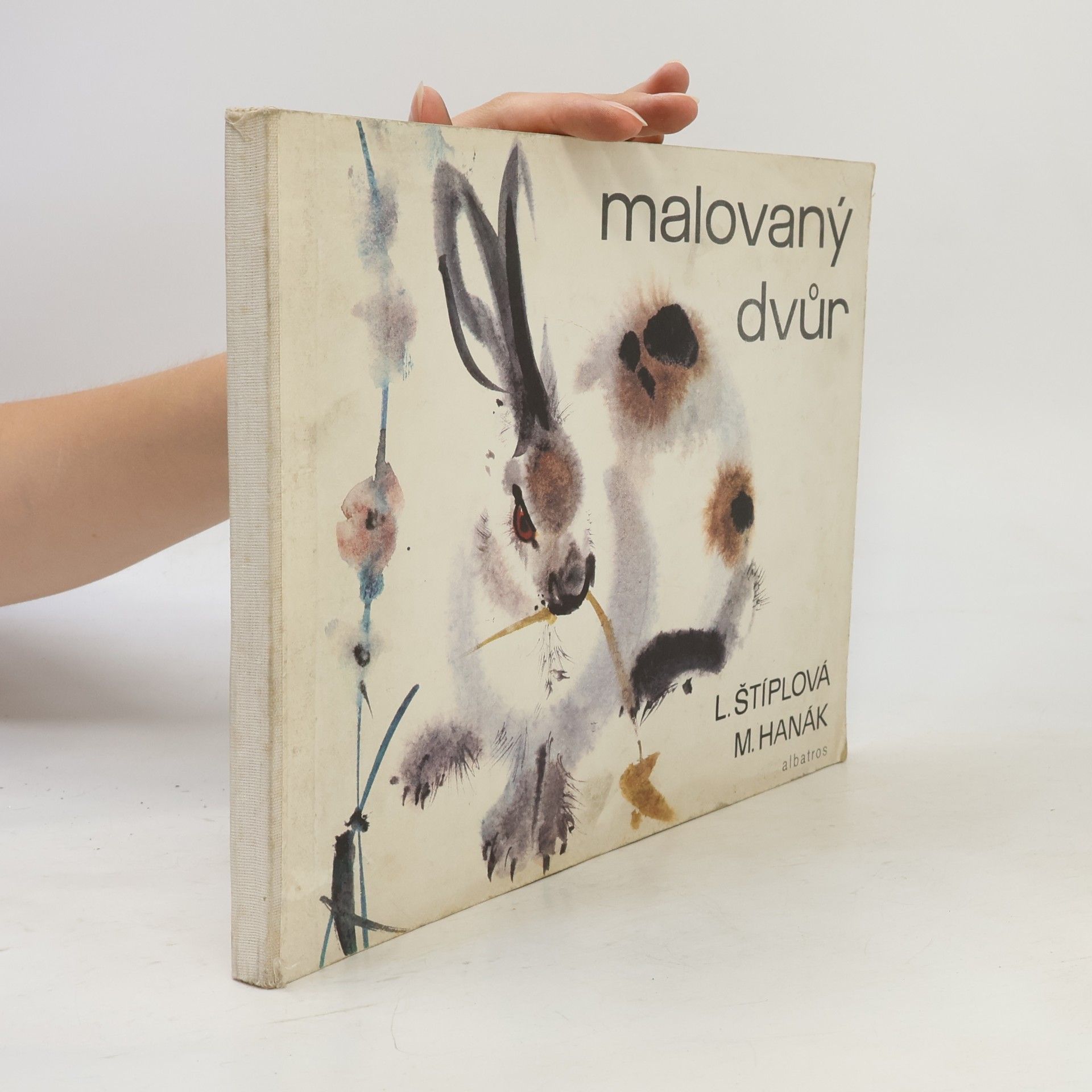 Ljuba Štíplová Malovaný dvůr