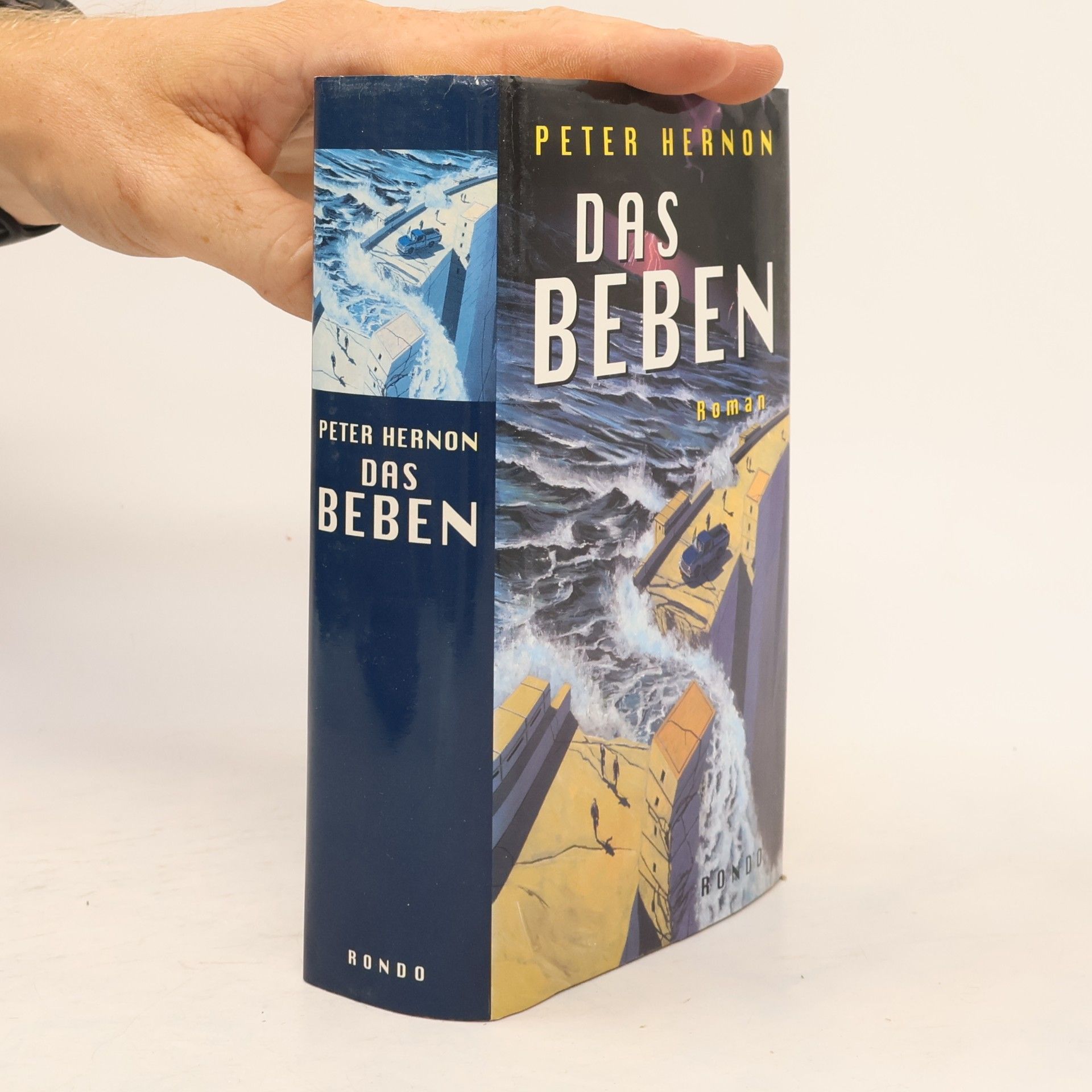 Peter Hernon Das Beben
