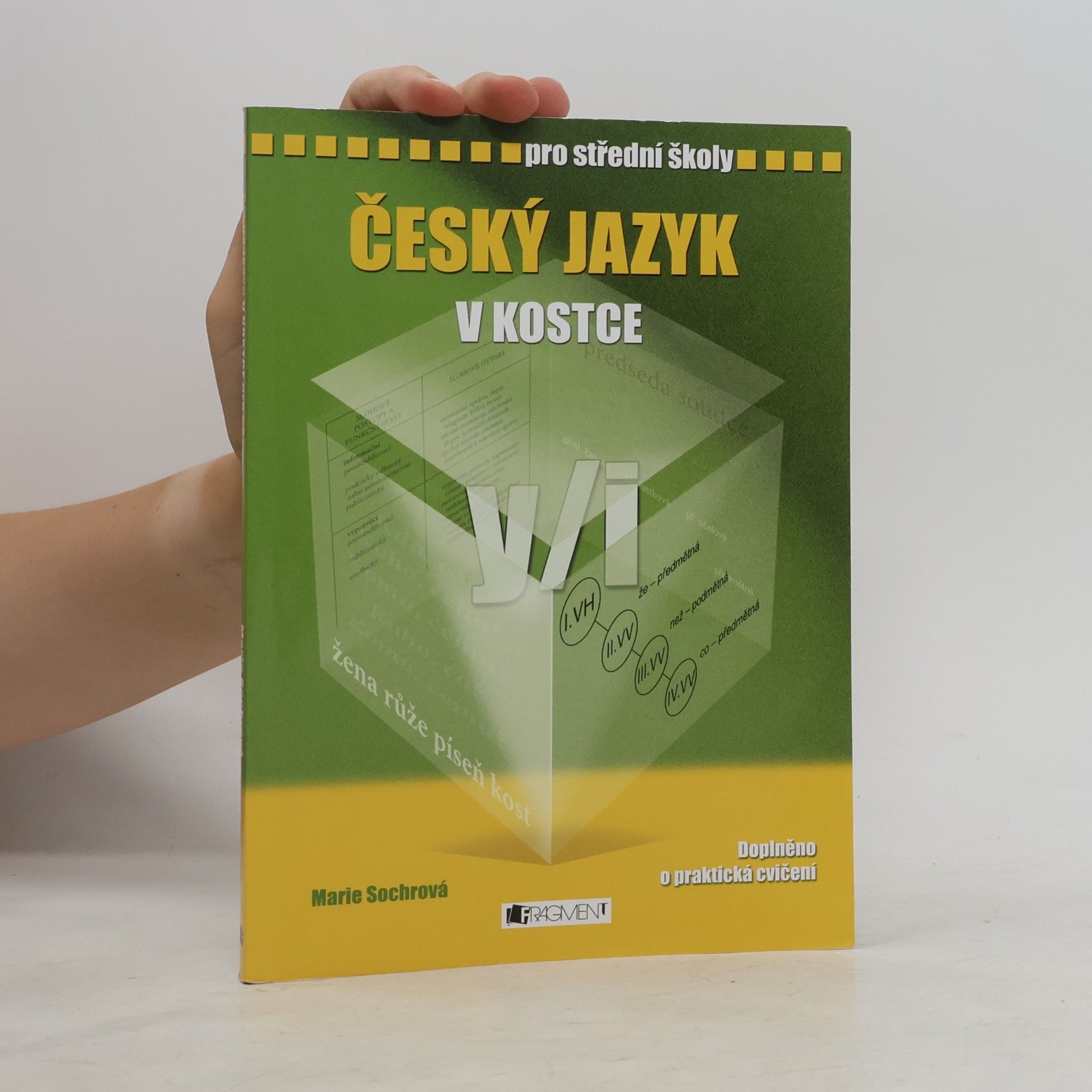 Marie Sochrová Český jazyk v kostce : pro střední školy