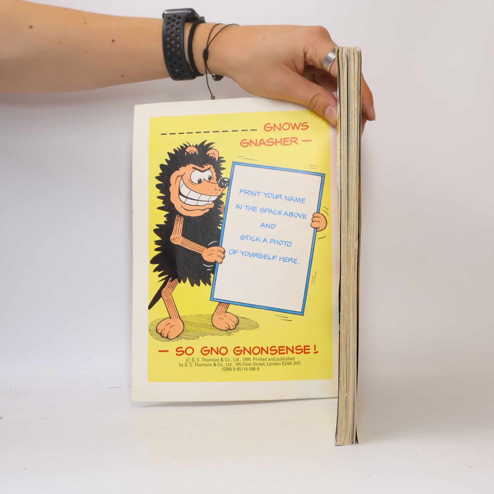Autorenkollektiv The Beano Book 1996