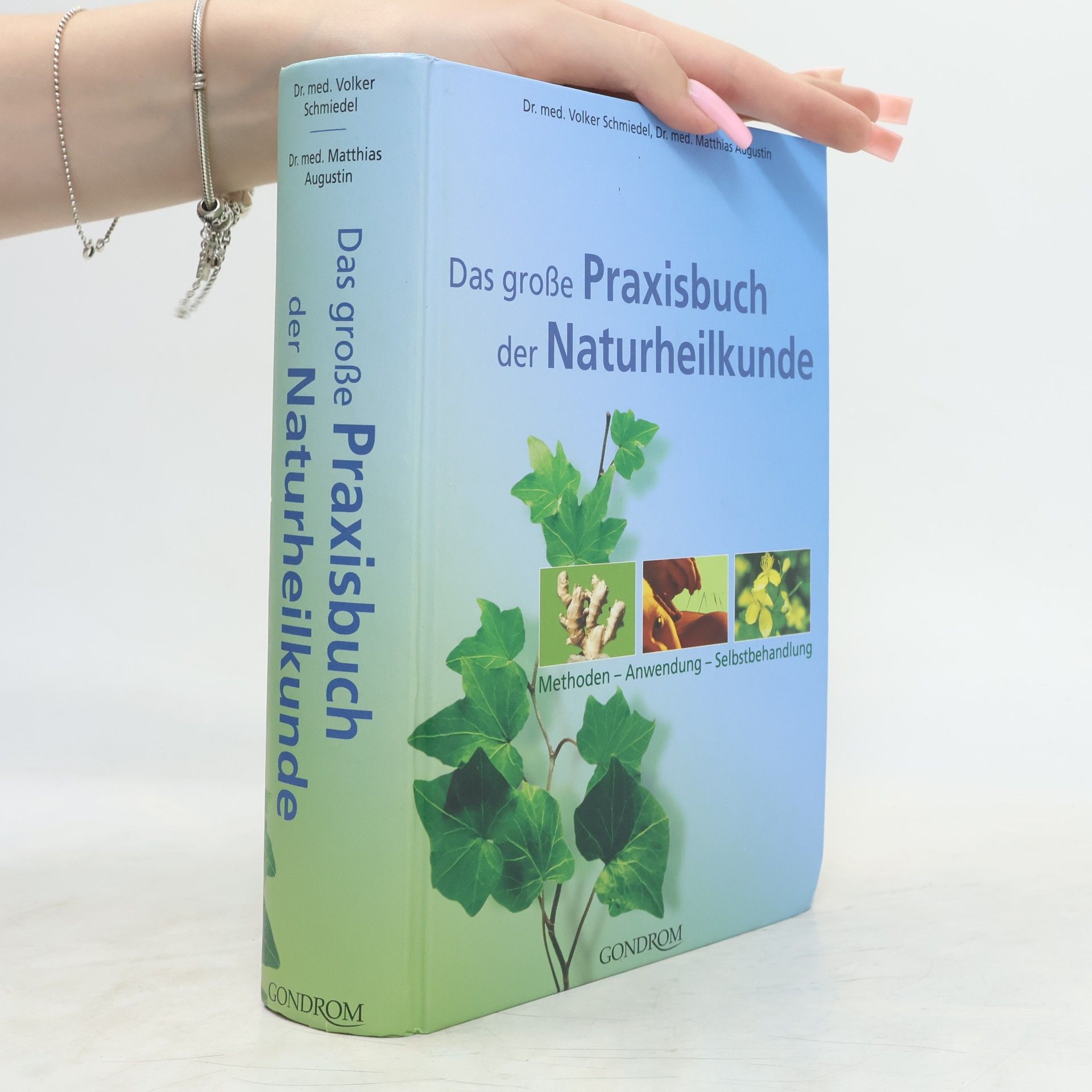 Volker Schmiedel Das große Praxisbuch der Naturheilkunde