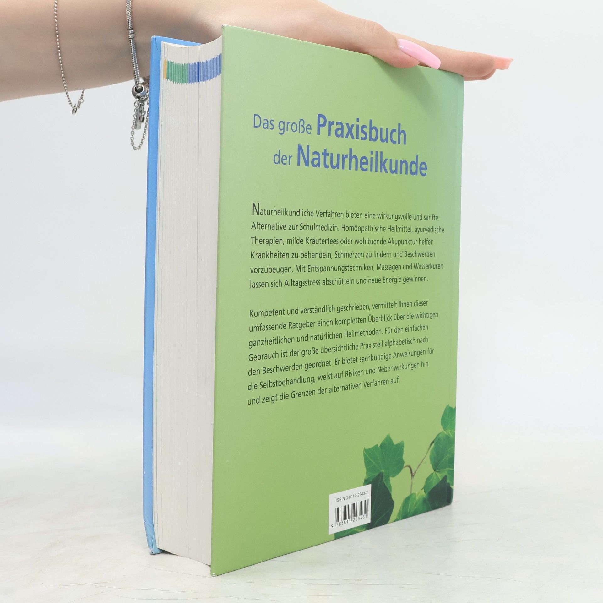 Volker Schmiedel Das große Praxisbuch der Naturheilkunde
