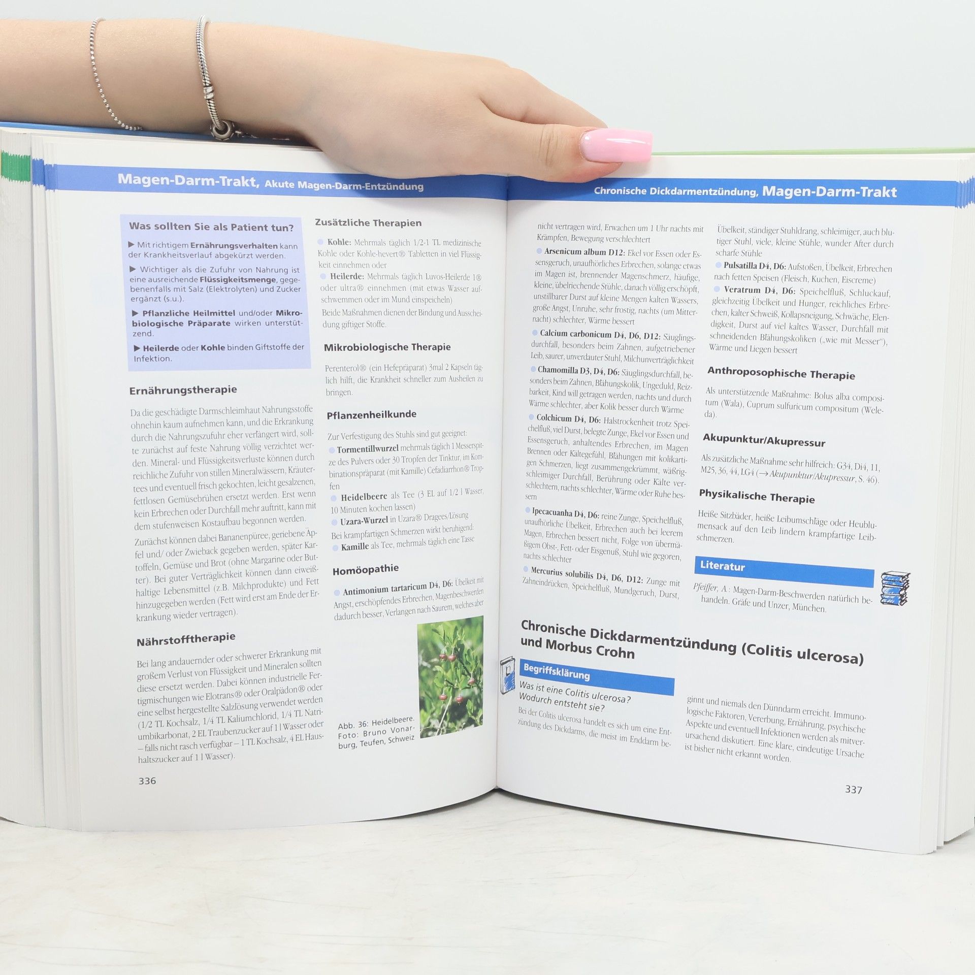 Volker Schmiedel Das große Praxisbuch der Naturheilkunde
