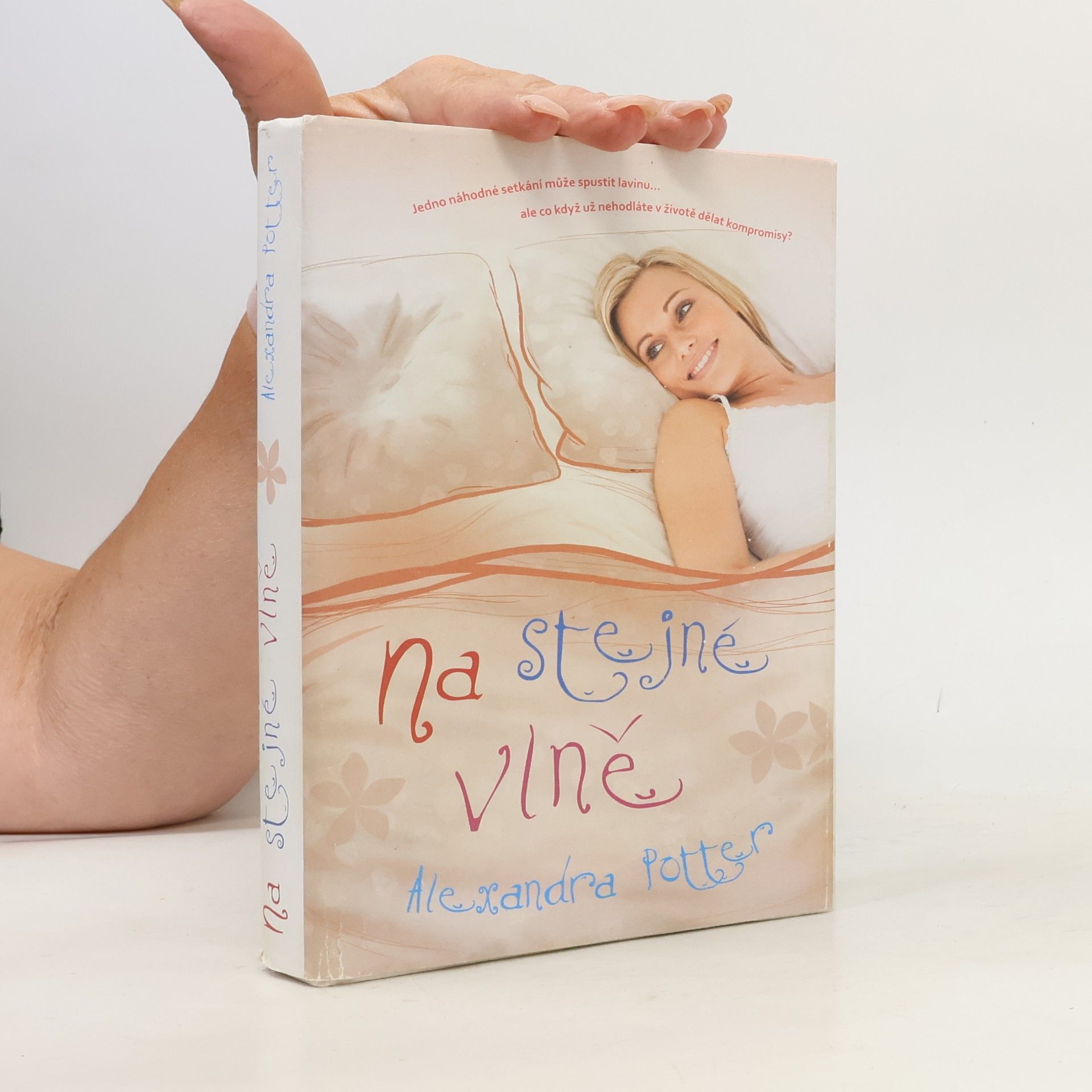Alexandra Potter Na stejné vlně
