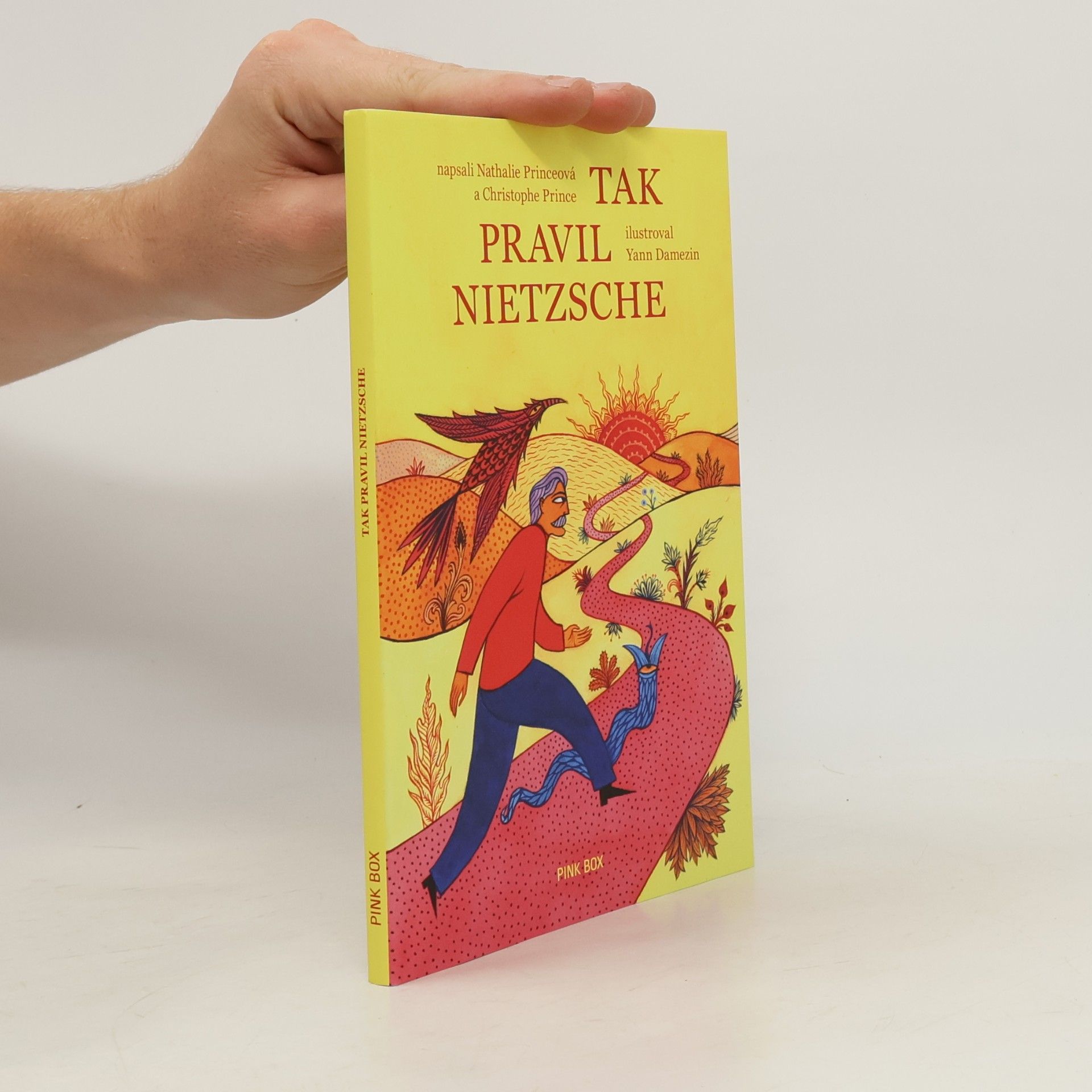 Yann Damezin Tak pravil Nietzsche