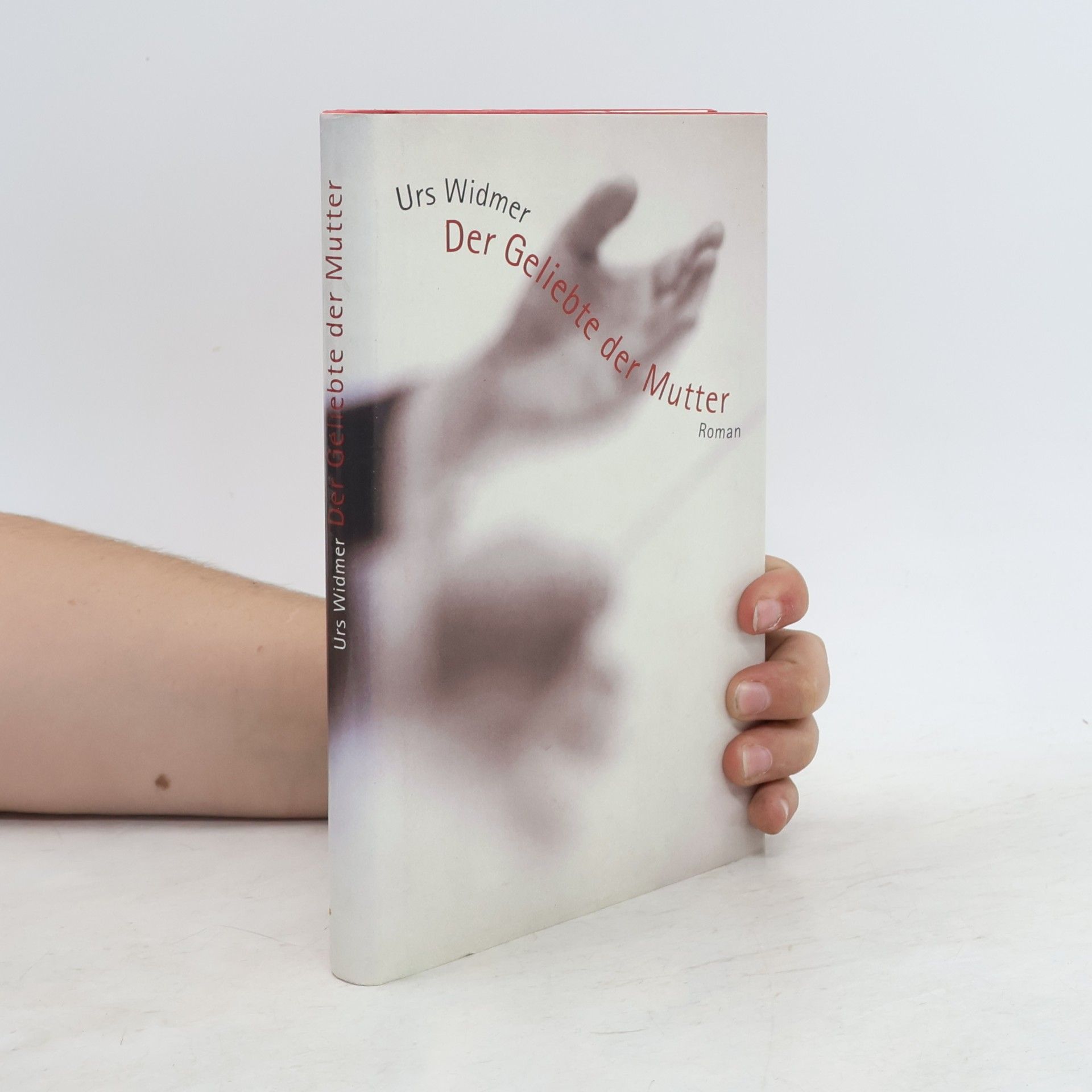 Urs Widmer Der Geliebte der Mutter