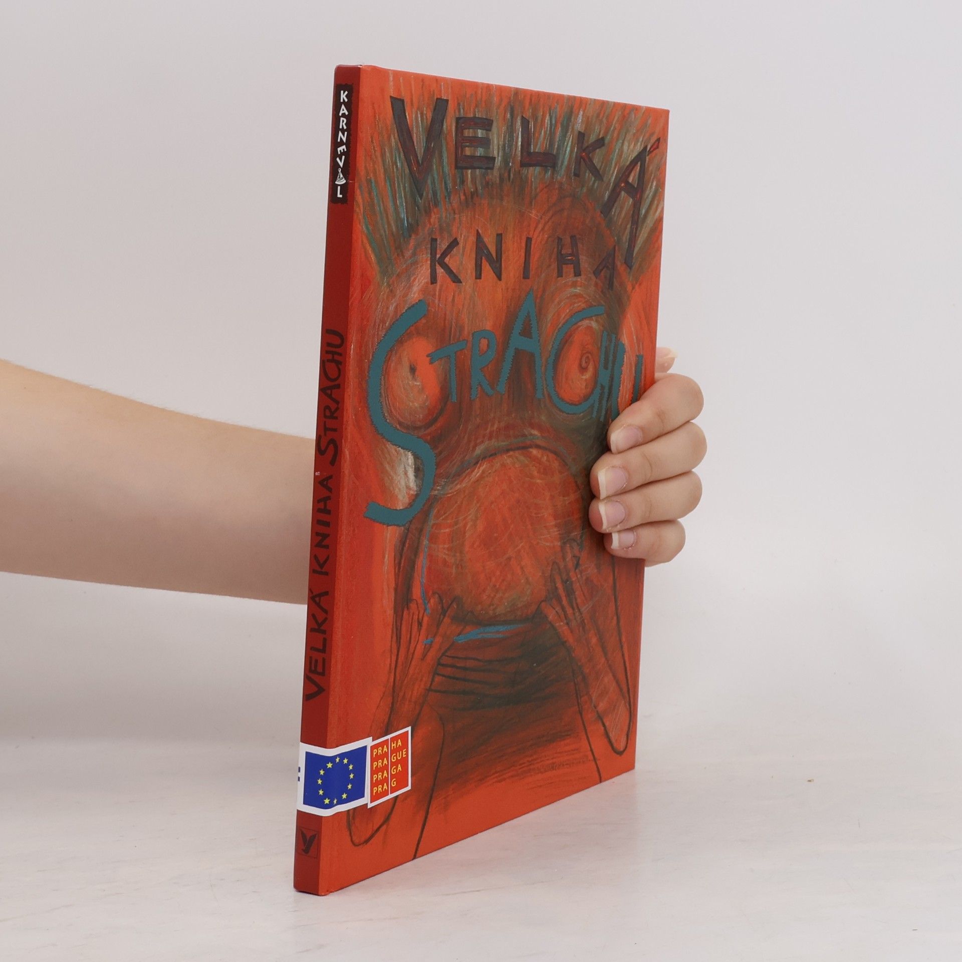 Veronika Bohatá Velká kniha strachu