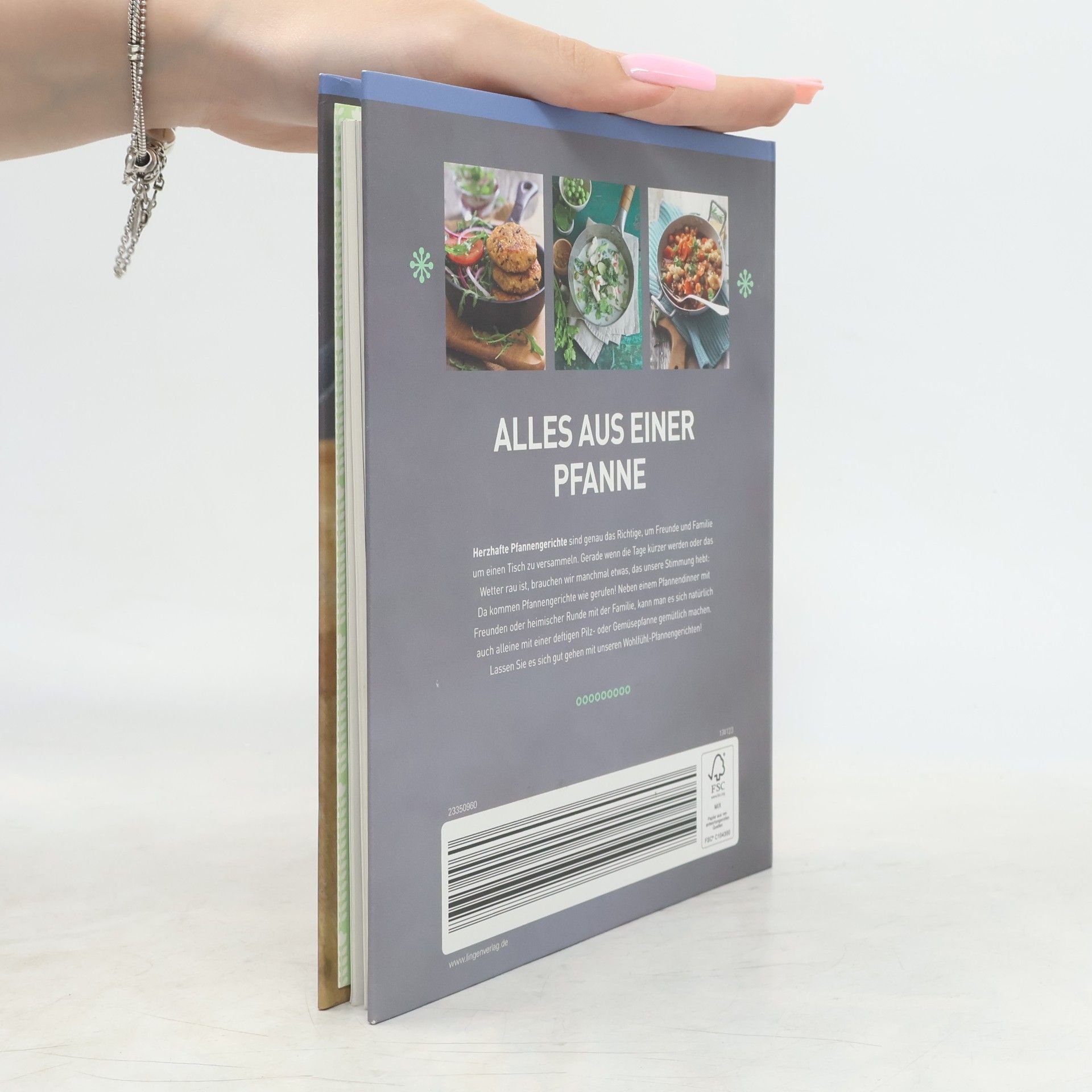Autorenkollektiv Alles aus einer Pfanne