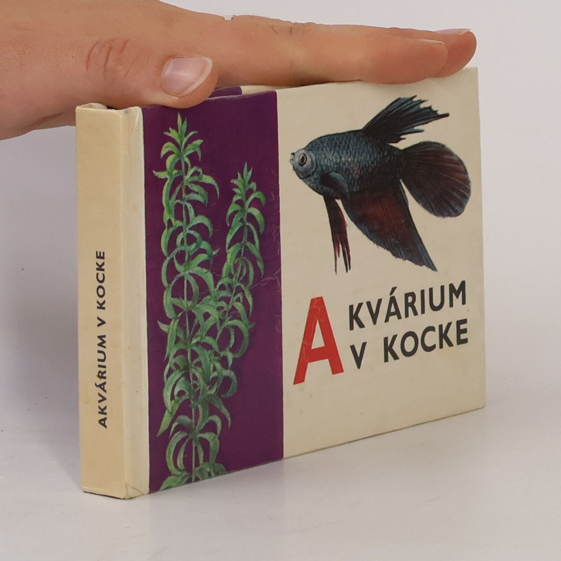 Ladislav Andódi Akvárium v kocke