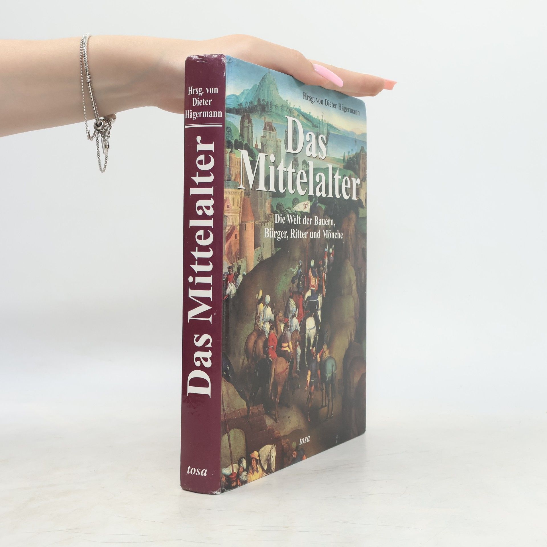 Dieter Hägermann Das Mittelalter