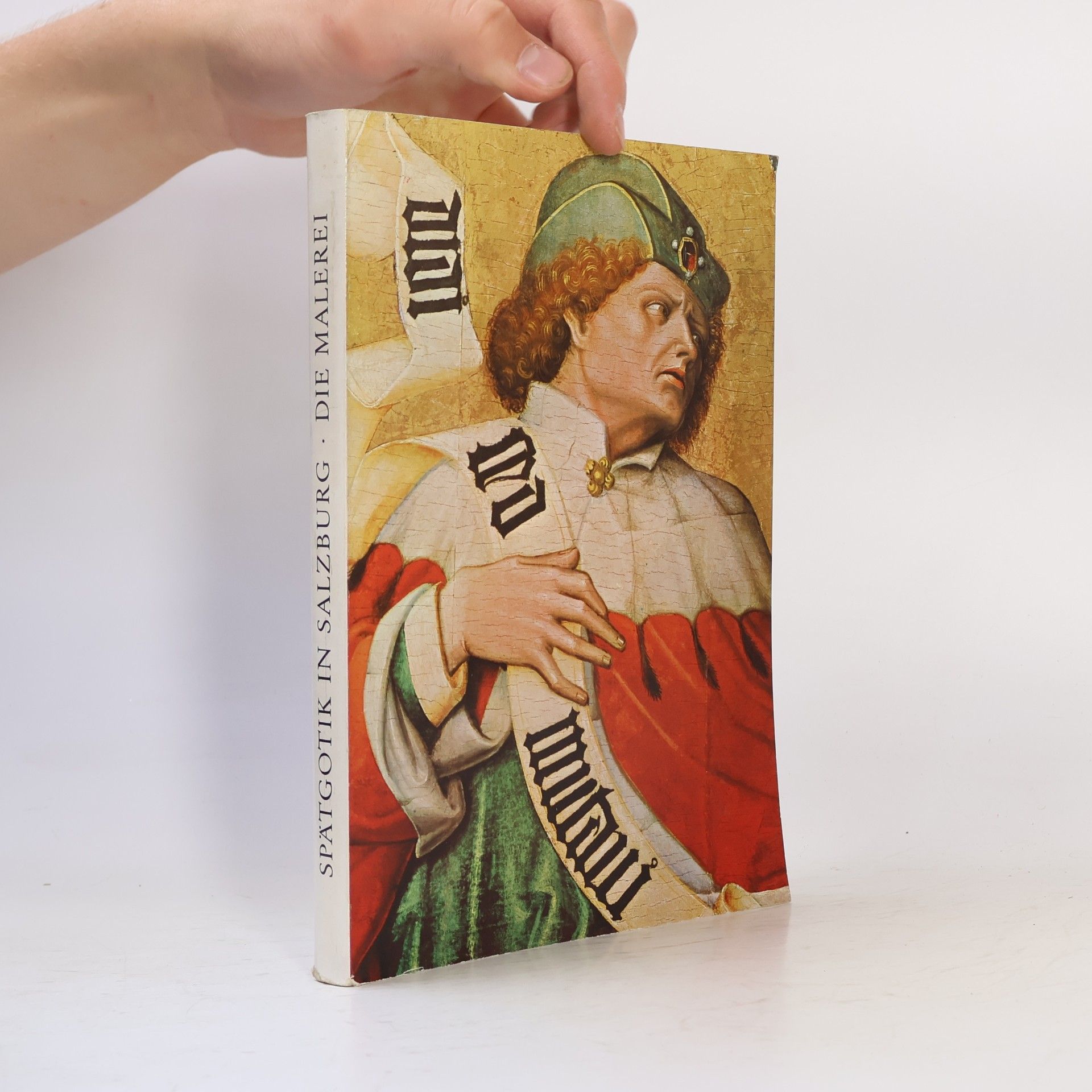 Auteurscollectief Ausstellung Spätgotik in Salzburg. Die Malerei 1400 - 1530