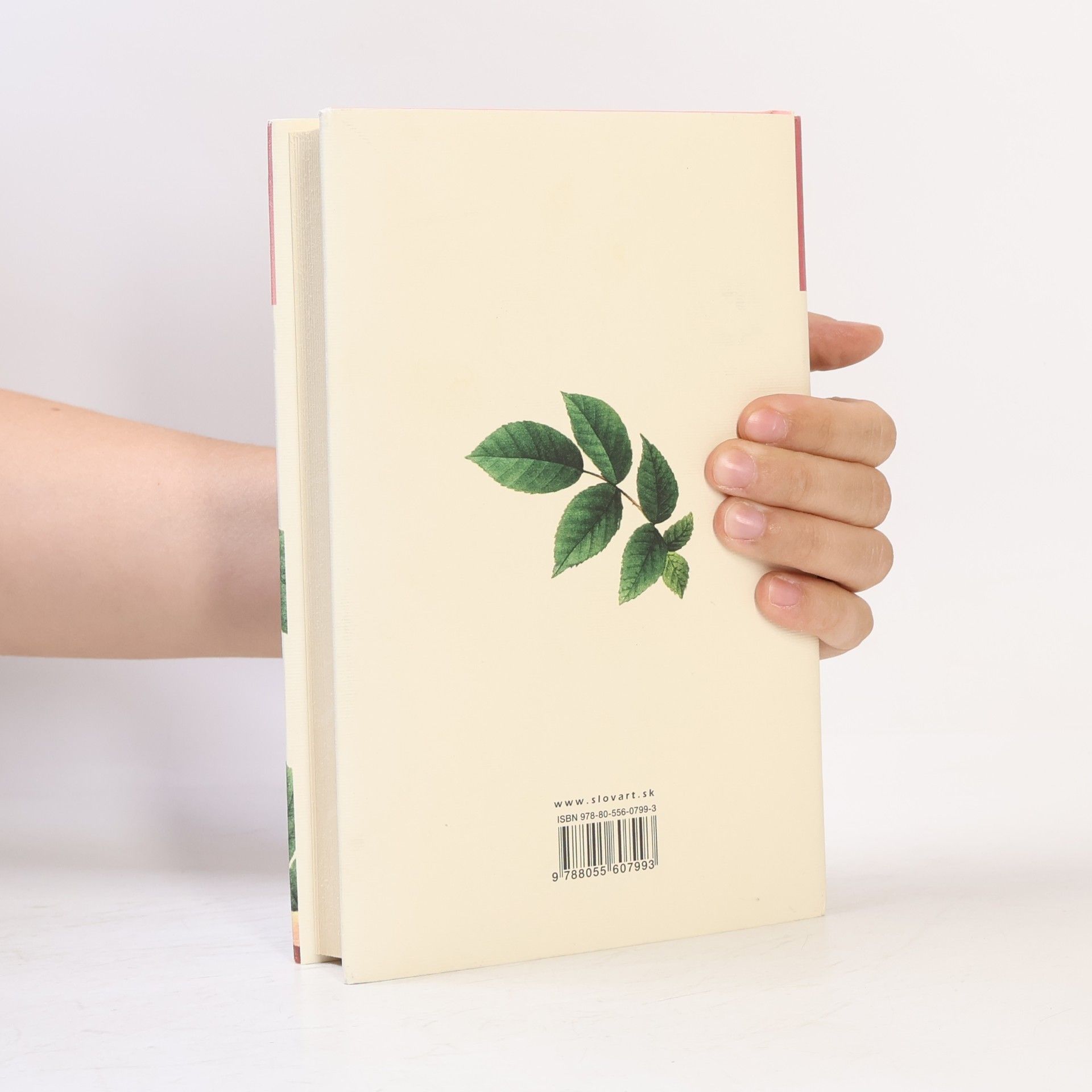 Jane Austen Pýcha a predsudok