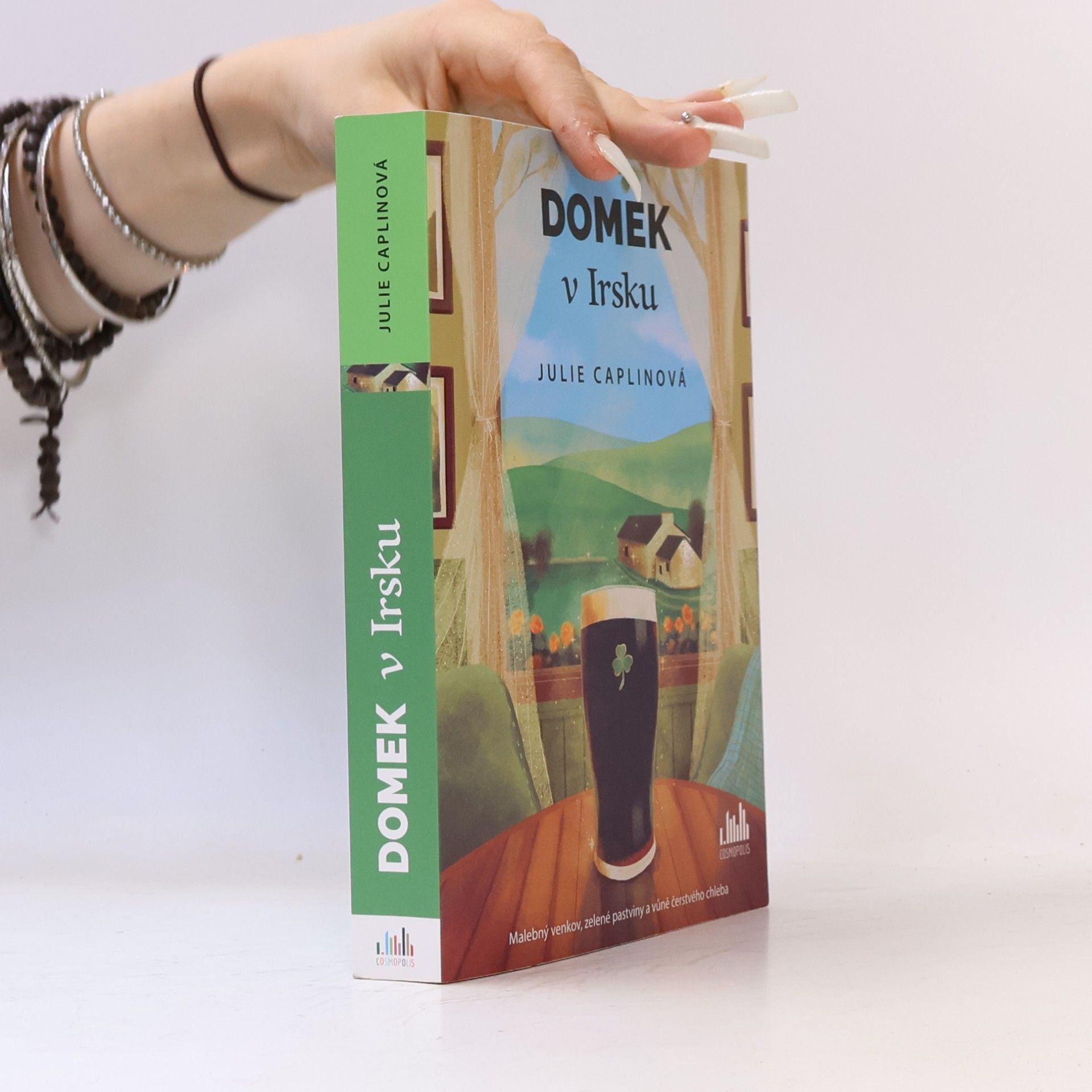 Domek v Irsku